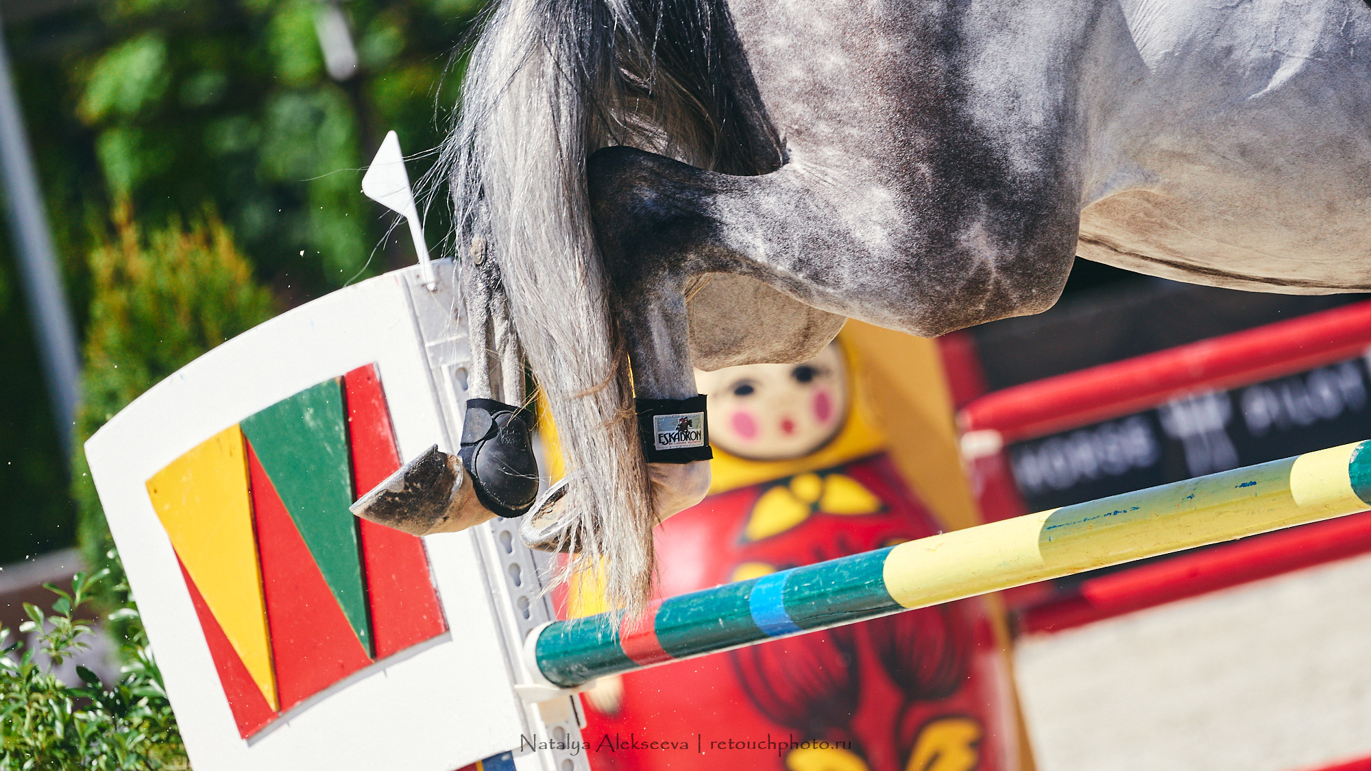 CSI2*-W/CH-B/J-B/YH1*, КСК Отрада | 06'2021. Репортажный фотограф и ретушер в Москве Наталья Алексеева