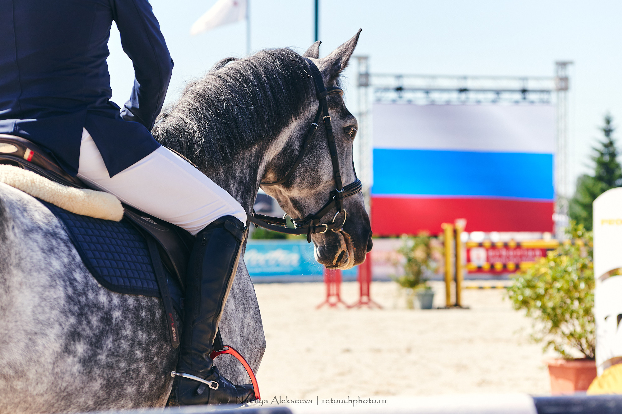 CSI2*-W/CH-B/J-B/YH1*, КСК Отрада | 06'2021. Репортажный фотограф и ретушер в Москве Наталья Алексеева