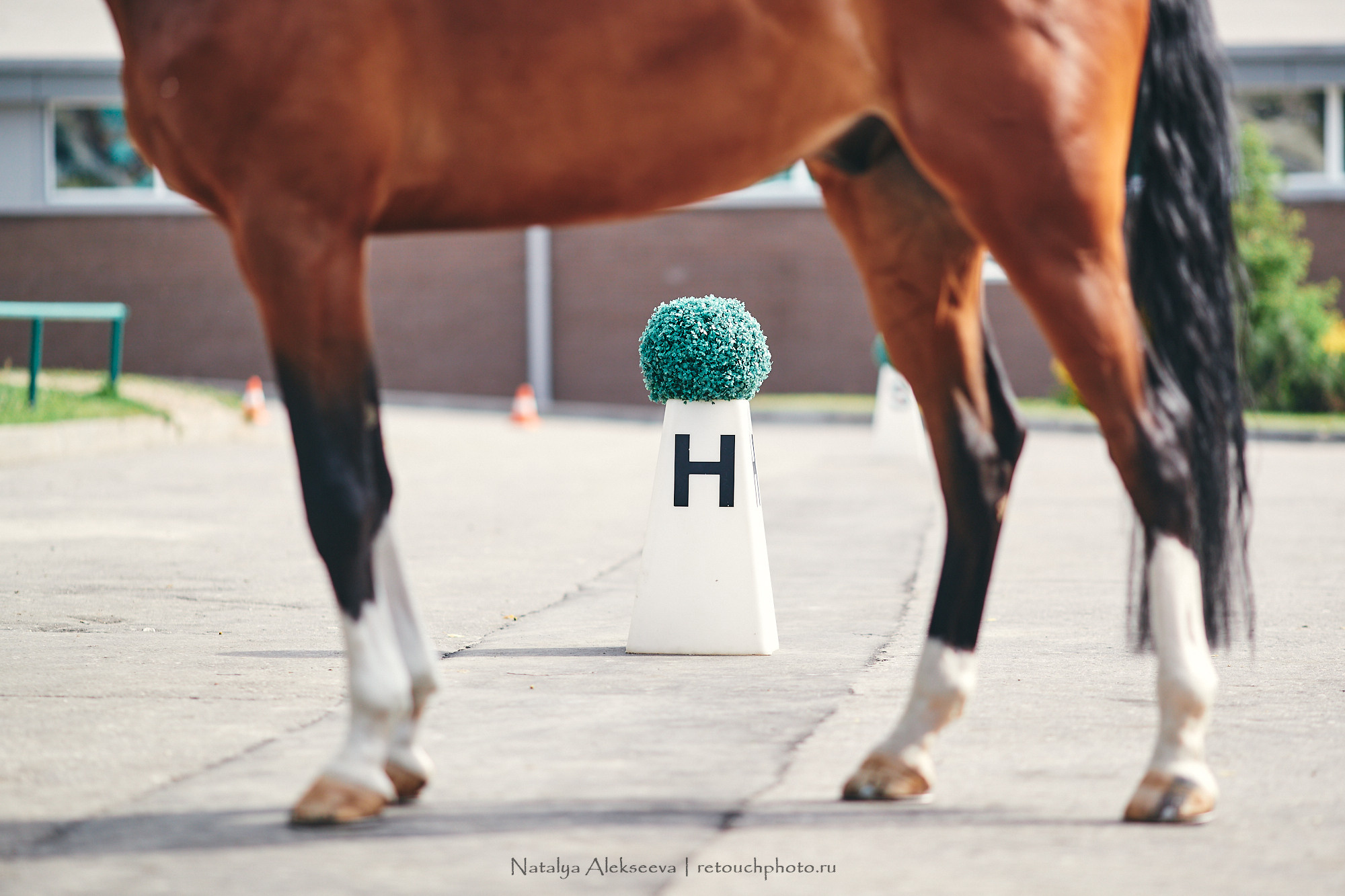 CDI-W/2*/J/Ch/P, КСК Пассаж | 06'2021. Репортажный фотограф и ретушер в Москве Наталья Алексеева