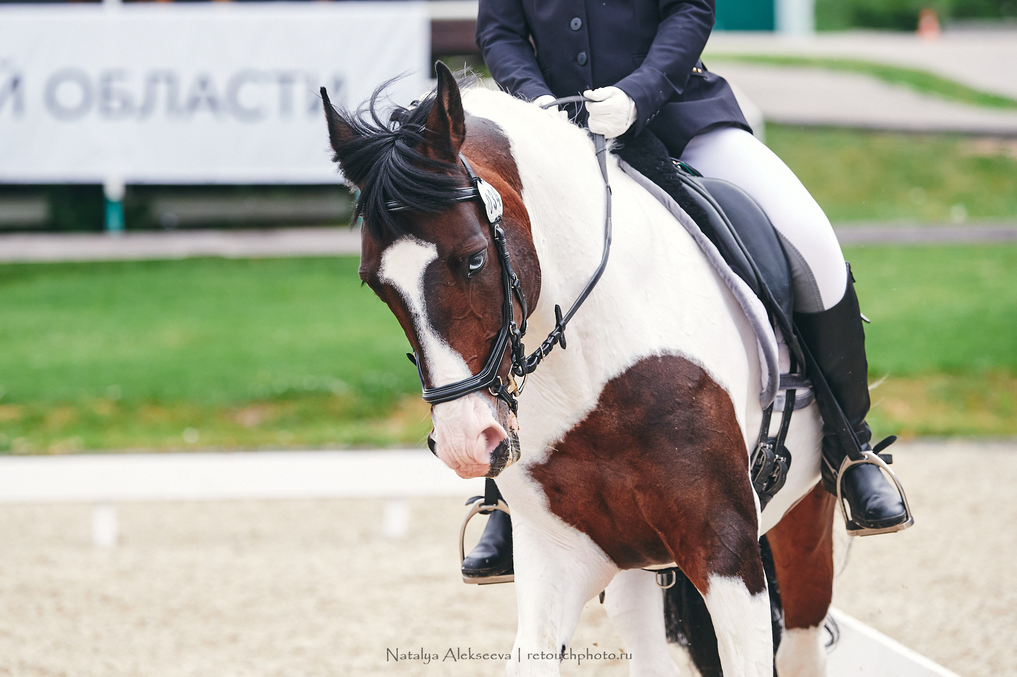 CDI-W/2*/J/Ch/P, КСК Пассаж | 06'2021. Репортажный фотограф и ретушер в Москве Наталья Алексеева