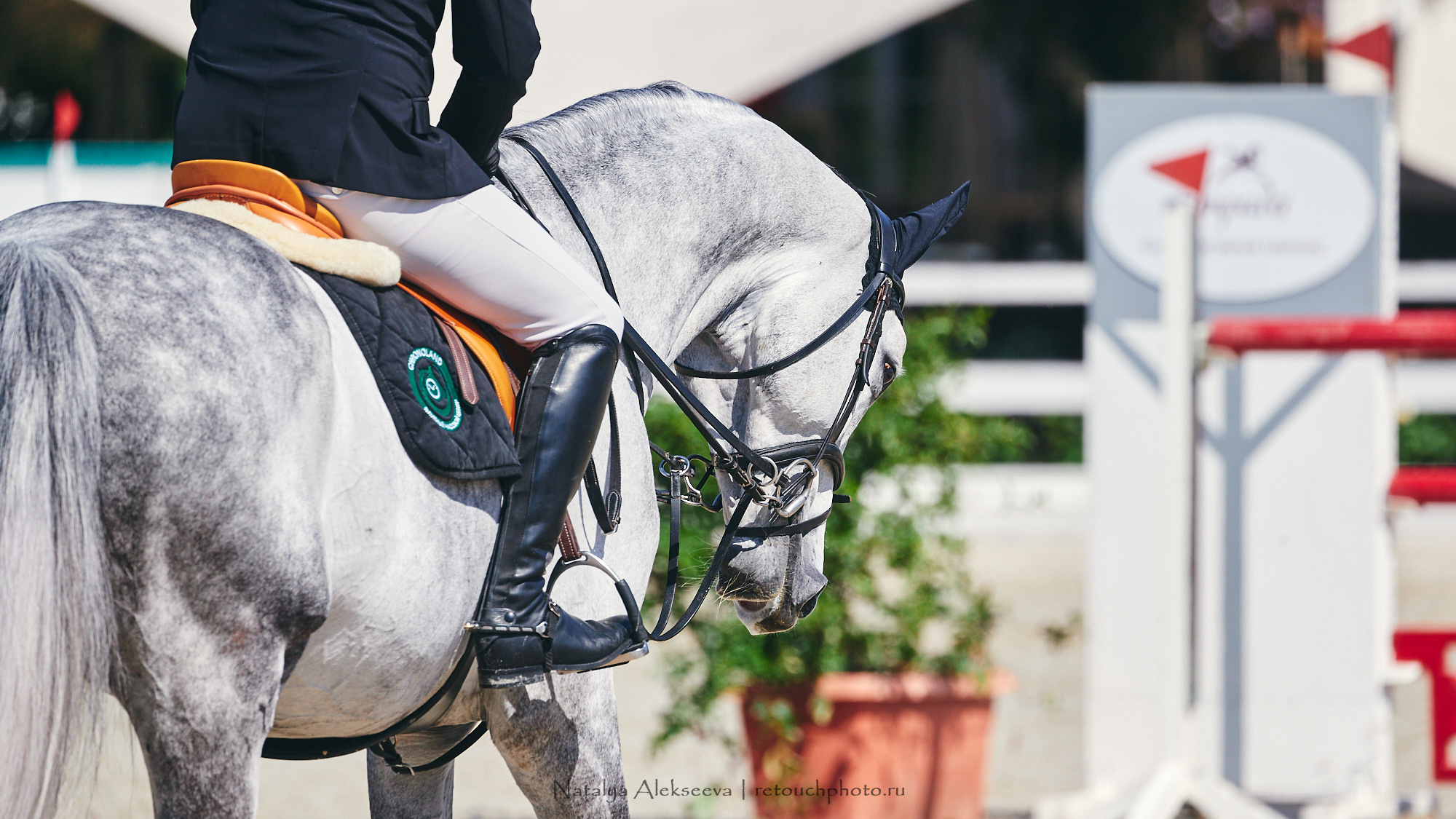 CSI2*-W/CH-B/J-B/YH1*, КСК Отрада | 06'2021. Репортажный фотограф и ретушер в Москве Наталья Алексеева