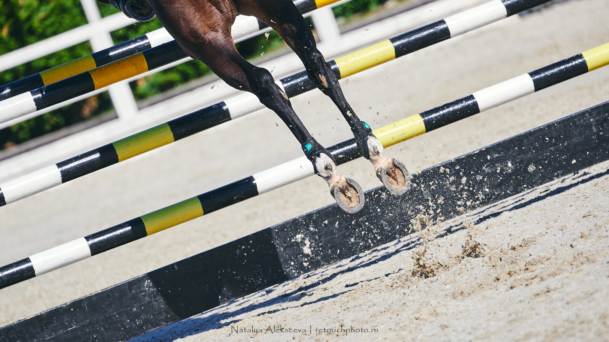 CSI2*-W/CH-B/J-B/YH1*, КСК Отрада | 06'2021. Репортажный фотограф и ретушер в Москве Наталья Алексеева