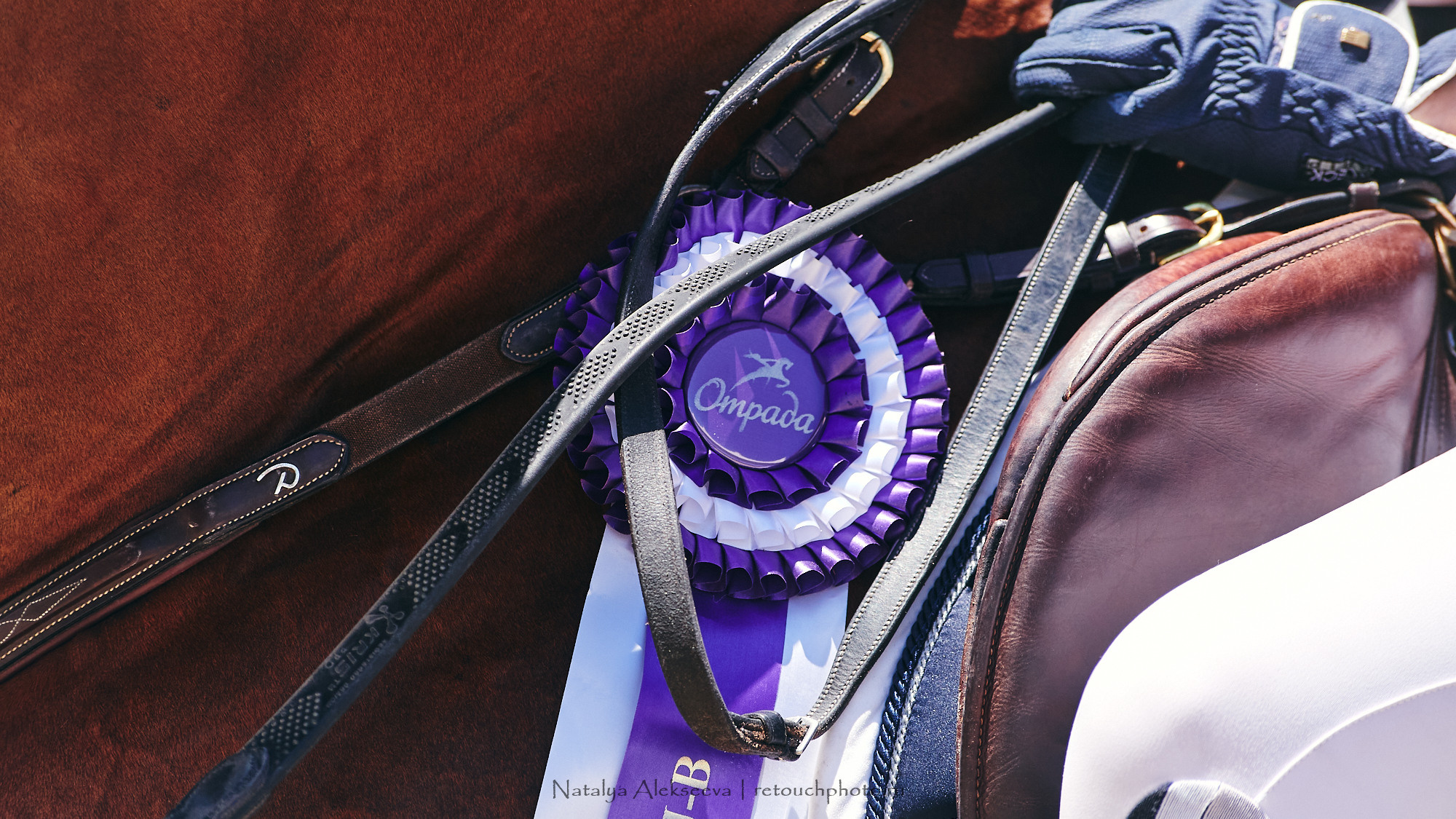 CSI2*-W/CH-B/J-B/YH1*, КСК Отрада | 06'2021. Репортажный фотограф и ретушер в Москве Наталья Алексеева