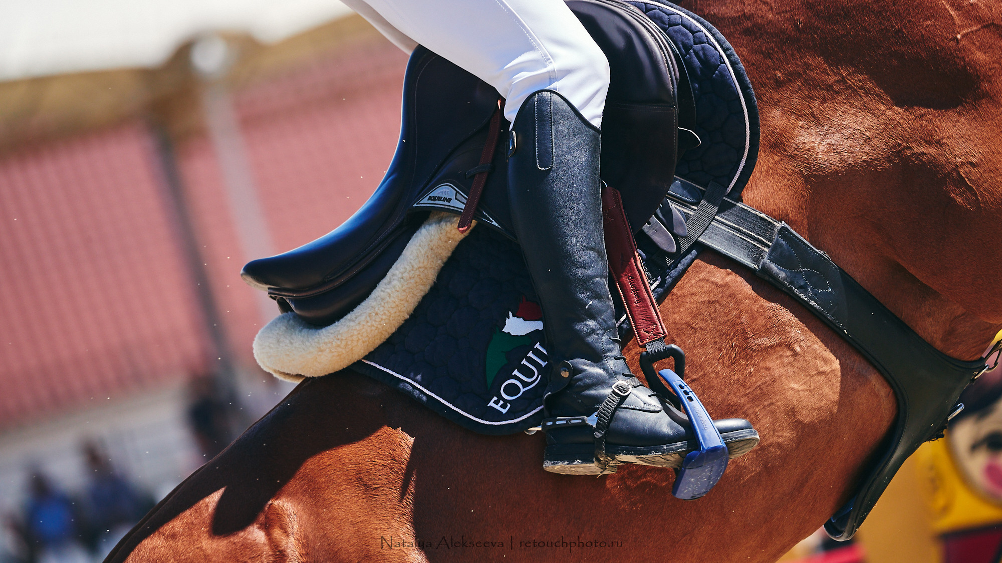 CSI2*-W/CH-B/J-B/YH1*, КСК Отрада | 06'2021. Репортажный фотограф и ретушер в Москве Наталья Алексеева