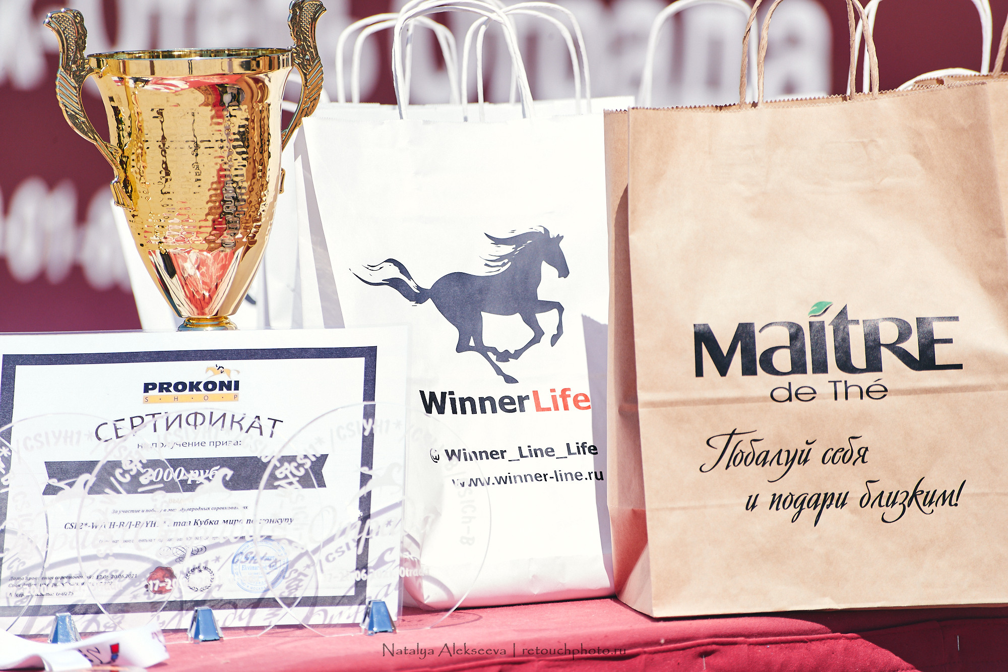 CSI2*-W/CH-B/J-B/YH1*, КСК Отрада | 06'2021. Репортажный фотограф и ретушер в Москве Наталья Алексеева