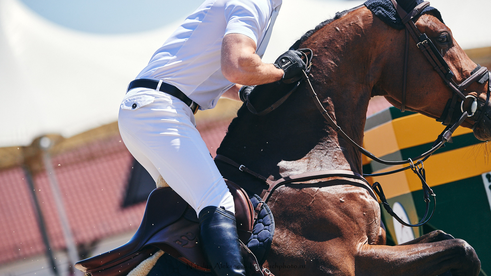 CSI2*-W/CH-B/J-B/YH1*, КСК Отрада | 06'2021. Репортажный фотограф и ретушер в Москве Наталья Алексеева