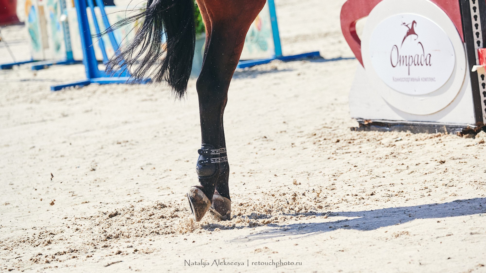 CSI2*-W/CH-B/J-B/YH1*, КСК Отрада | 06'2021. Репортажный фотограф и ретушер в Москве Наталья Алексеева