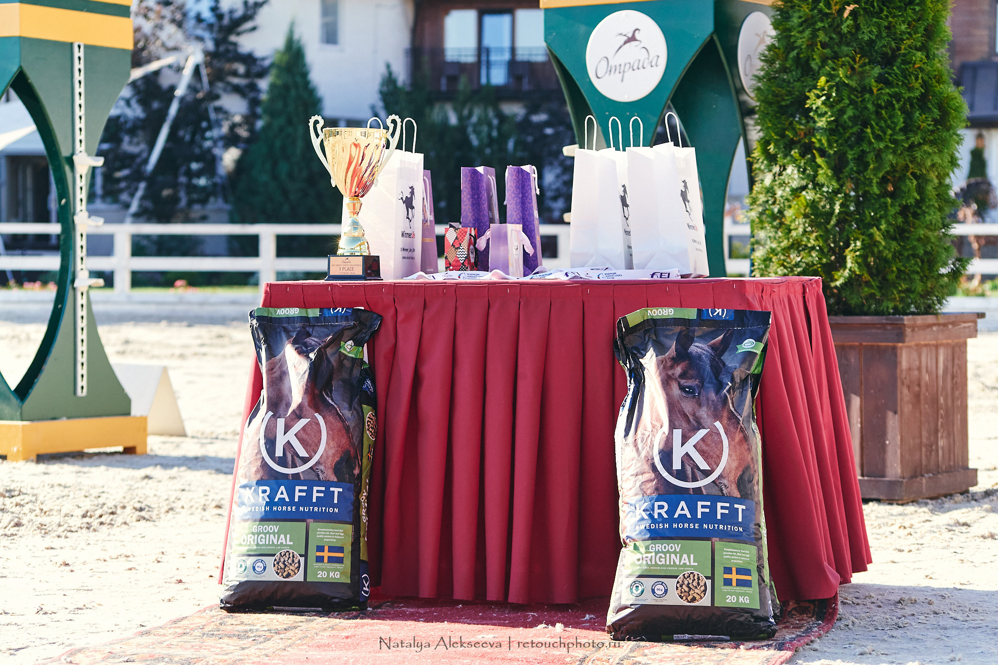 CSI2*-W/CH-B/J-B/YH1*, КСК Отрада | 06'2021. Репортажный фотограф и ретушер в Москве Наталья Алексеева