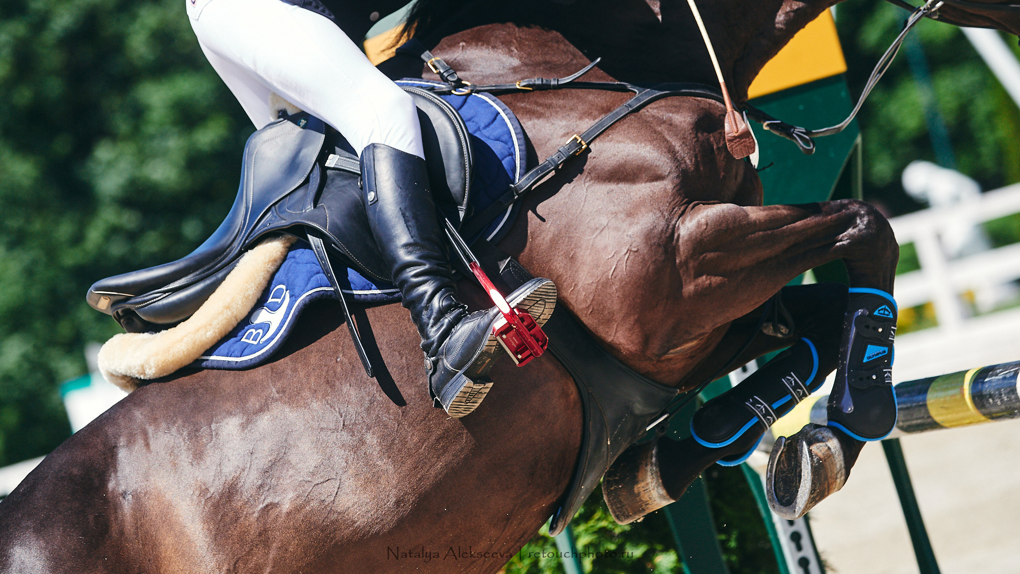 CSI2*-W/CH-B/J-B/YH1*, КСК Отрада | 06'2021. Репортажный фотограф и ретушер в Москве Наталья Алексеева