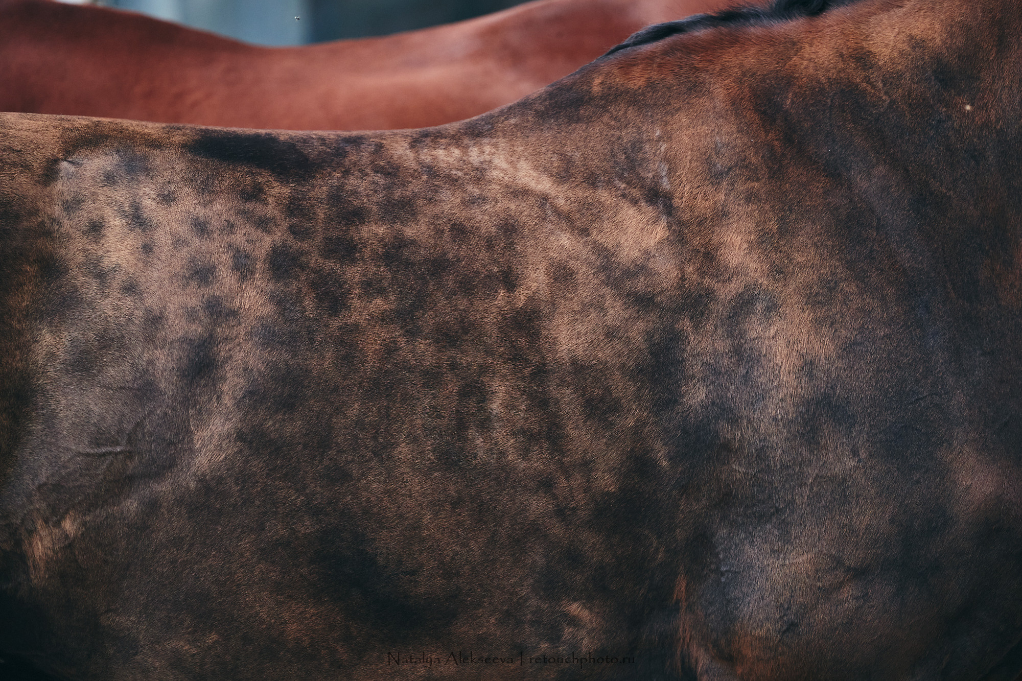 CDI-W/2*/J/Ch/P, КСК Пассаж | 06'2021. Репортажный фотограф и ретушер в Москве Наталья Алексеева