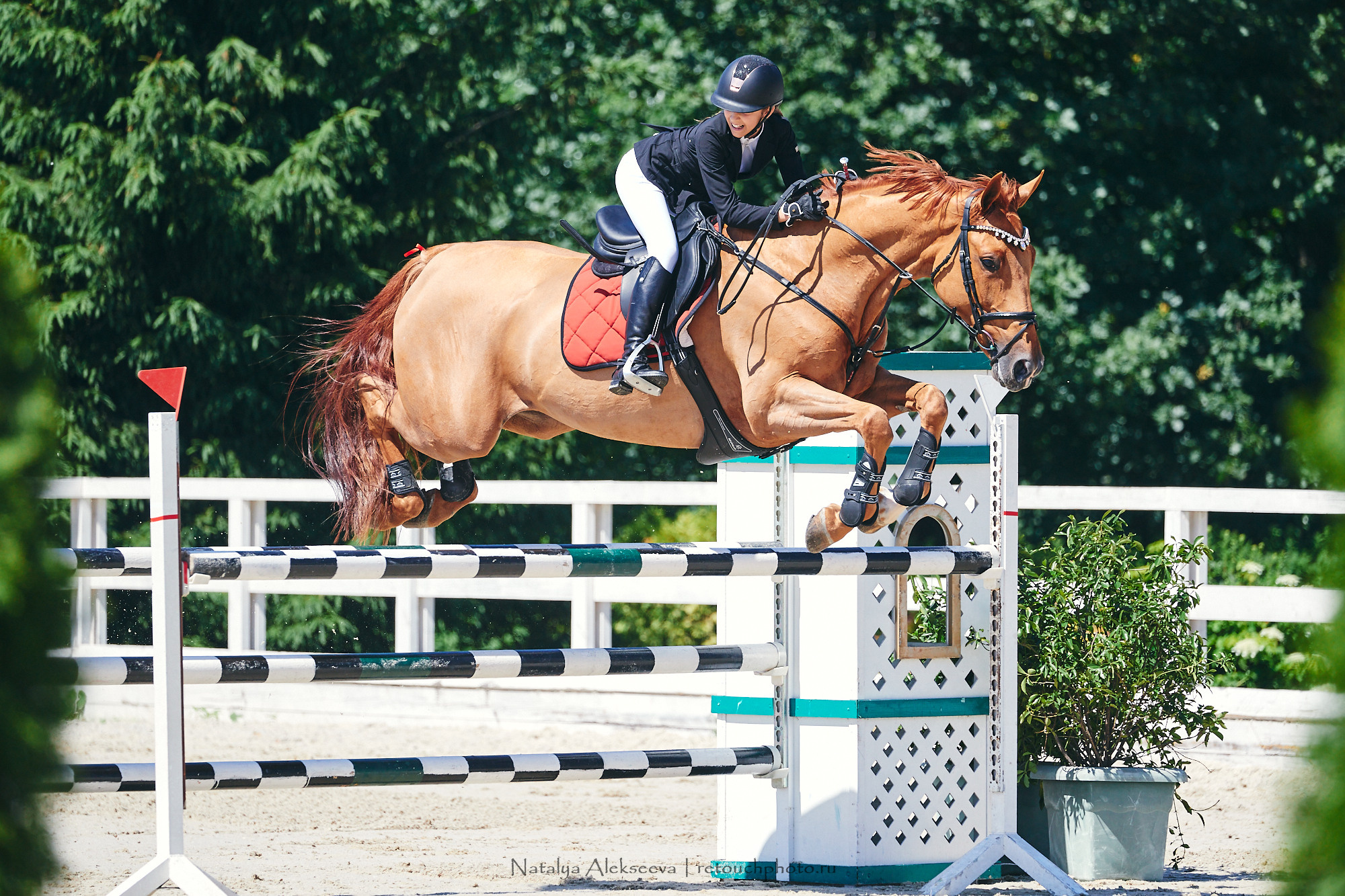 CSI2*-W/CH-B/J-B/YH1*, КСК Отрада | 06'2021. Репортажный фотограф и ретушер в Москве Наталья Алексеева