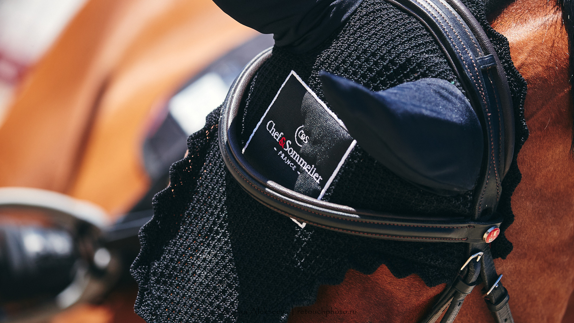 CSI2*-W/CH-B/J-B/YH1*, КСК Отрада | 06'2021. Репортажный фотограф и ретушер в Москве Наталья Алексеева