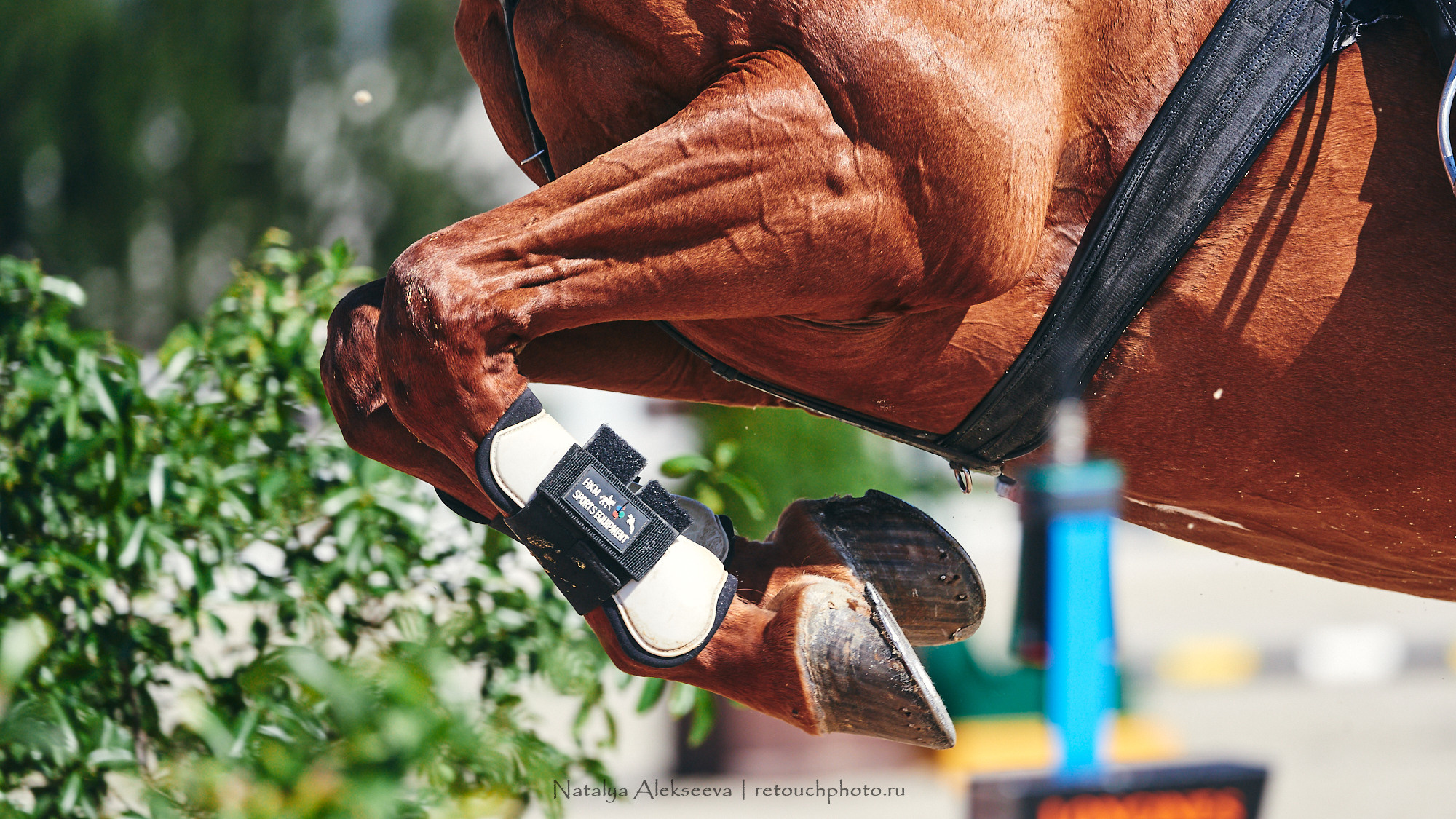 CSI2*-W/CH-B/J-B/YH1*, КСК Отрада | 06'2021. Репортажный фотограф и ретушер в Москве Наталья Алексеева