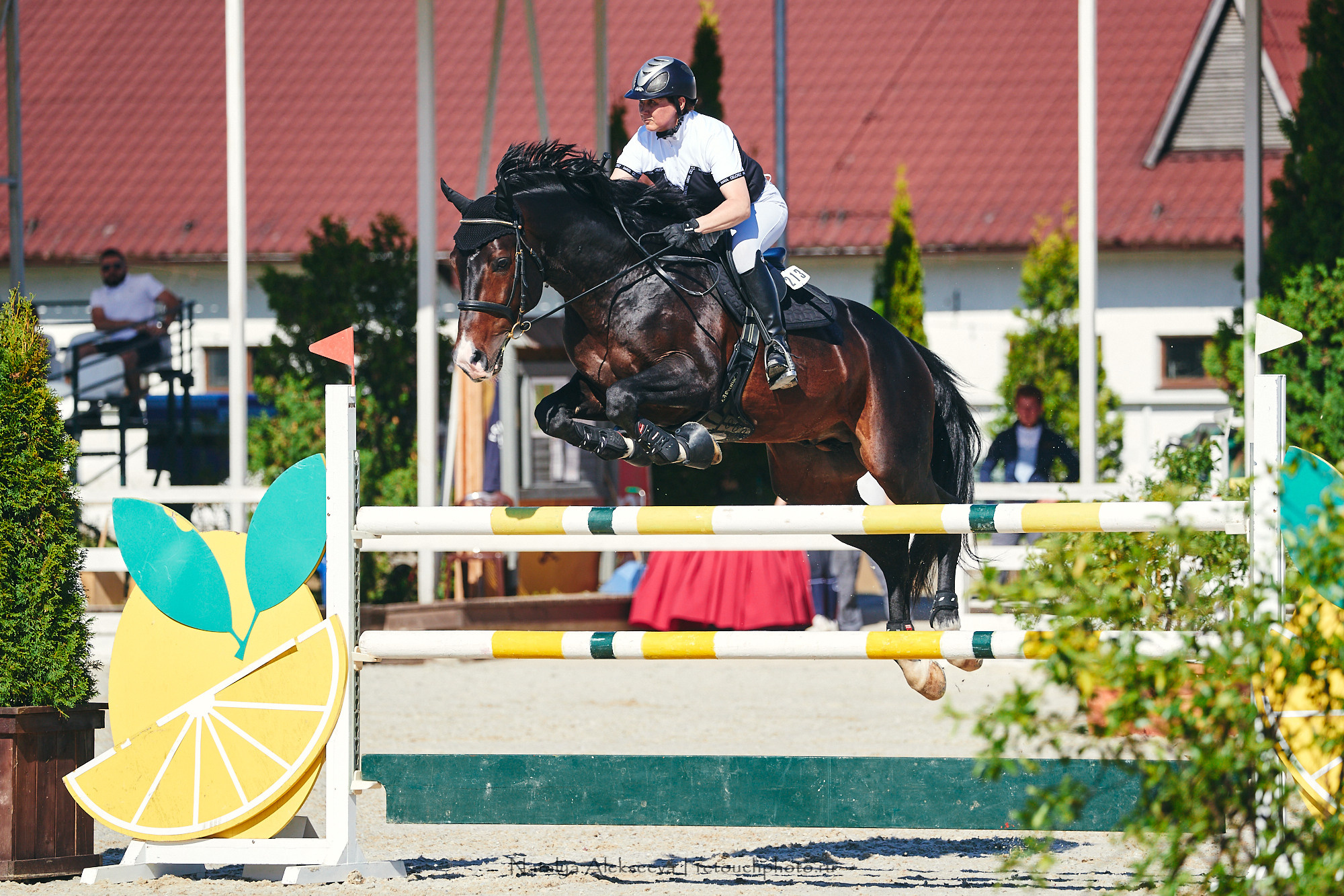 CSI2*-W/CH-B/J-B/YH1*, КСК Отрада | 06'2021. Репортажный фотограф и ретушер в Москве Наталья Алексеева