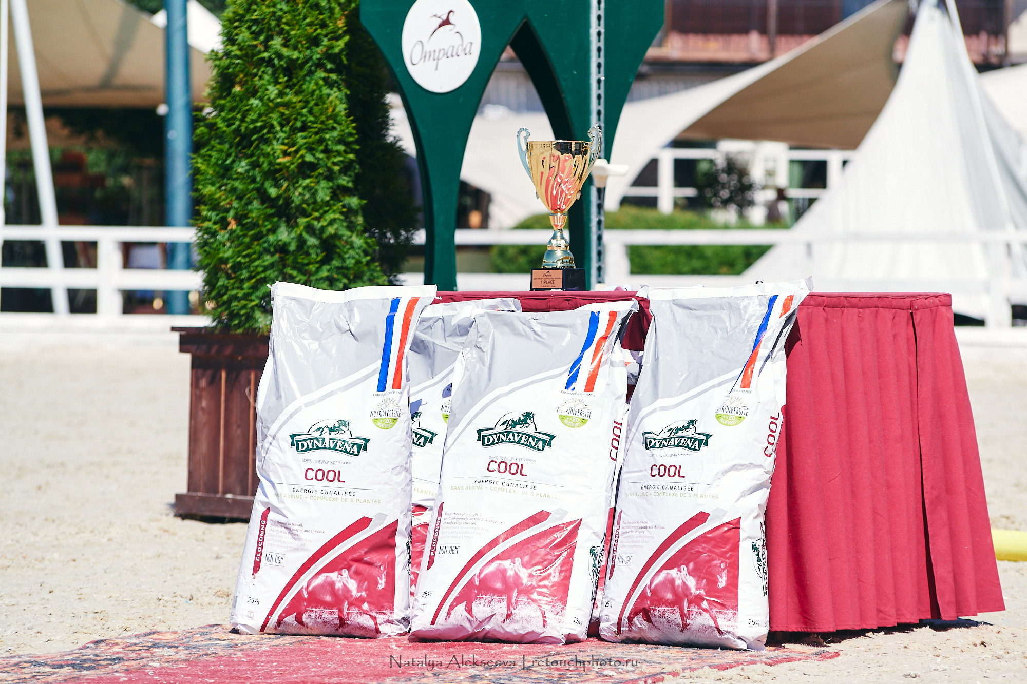 CSI2*-W/CH-B/J-B/YH1*, КСК Отрада | 06'2021. Репортажный фотограф и ретушер в Москве Наталья Алексеева