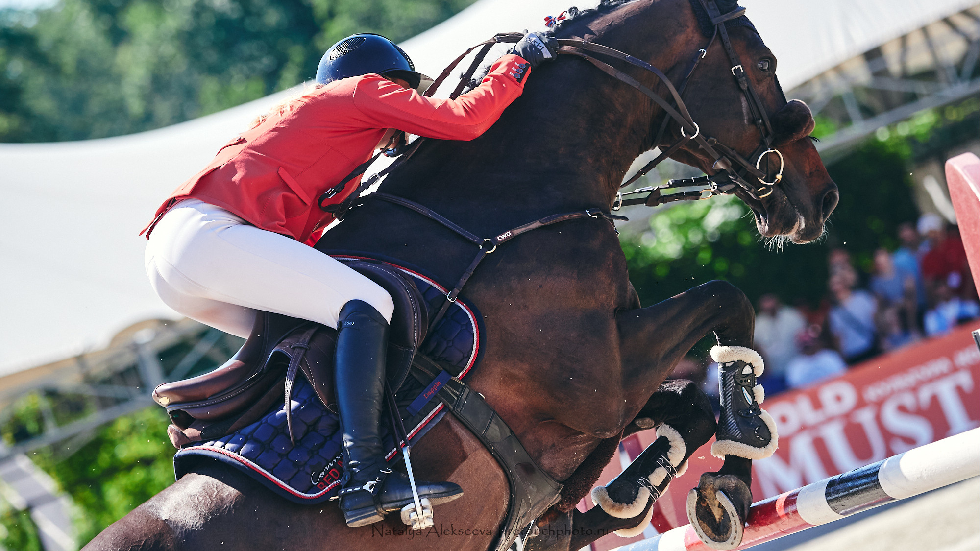 CSI2*-W/CH-B/J-B/YH1*, КСК Отрада | 06'2021. Репортажный фотограф и ретушер в Москве Наталья Алексеева