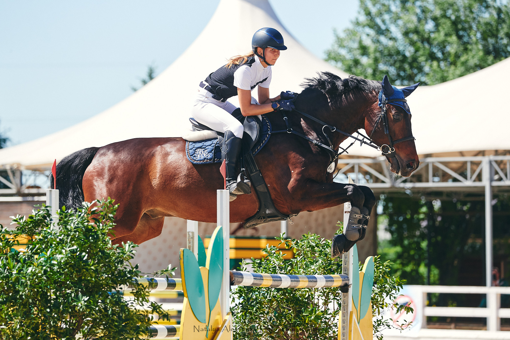 CSI2*-W/CH-B/J-B/YH1*, КСК Отрада | 06'2021. Репортажный фотограф и ретушер в Москве Наталья Алексеева