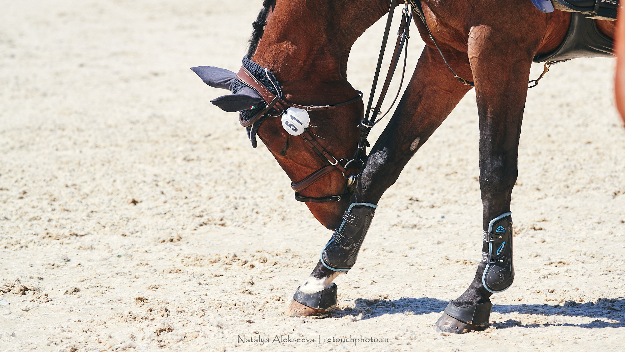 CSI2*-W/CH-B/J-B/YH1*, КСК Отрада | 06'2021. Репортажный фотограф и ретушер в Москве Наталья Алексеева