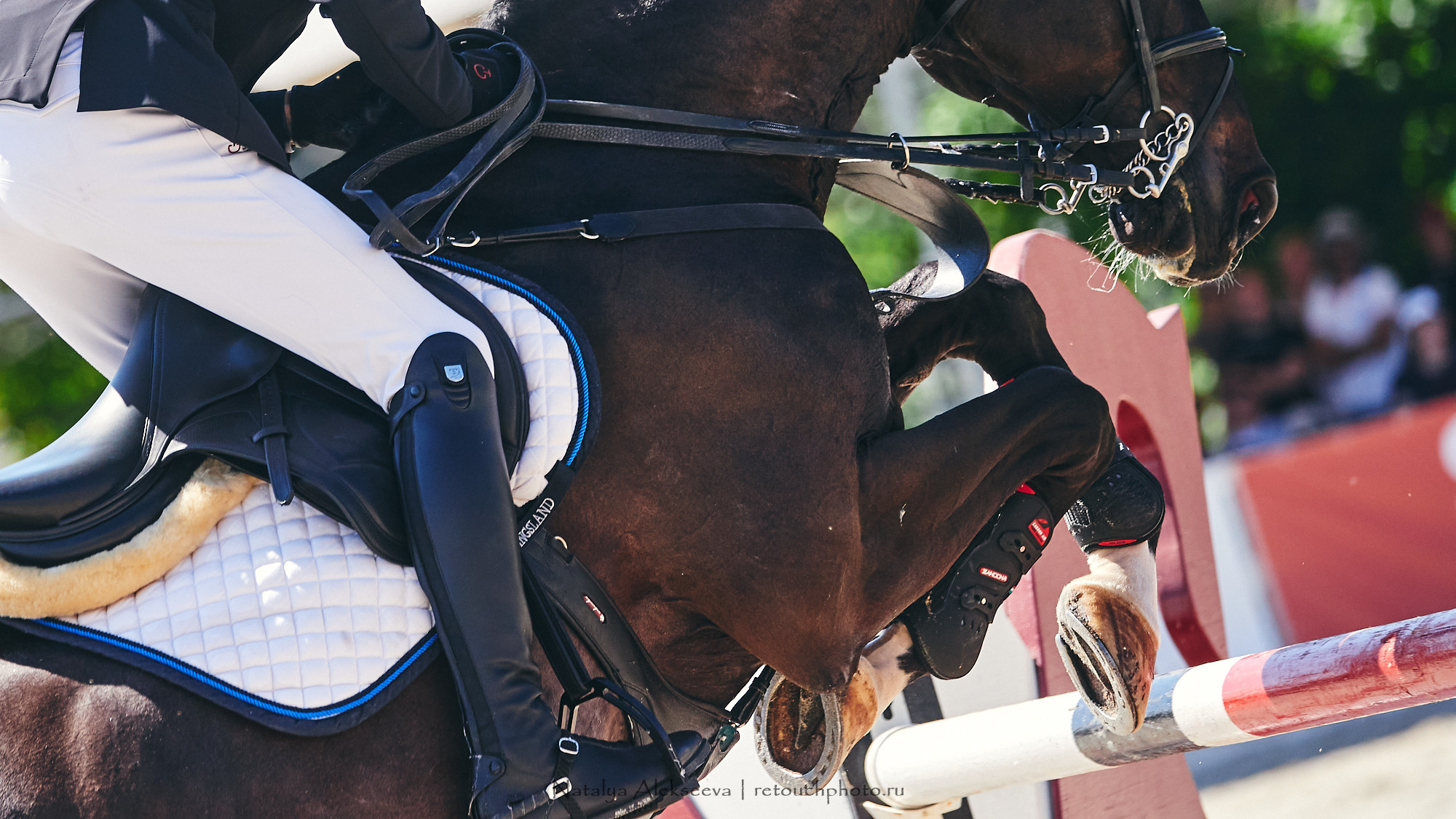 CSI2*-W/CH-B/J-B/YH1*, КСК Отрада | 06'2021. Репортажный фотограф и ретушер в Москве Наталья Алексеева