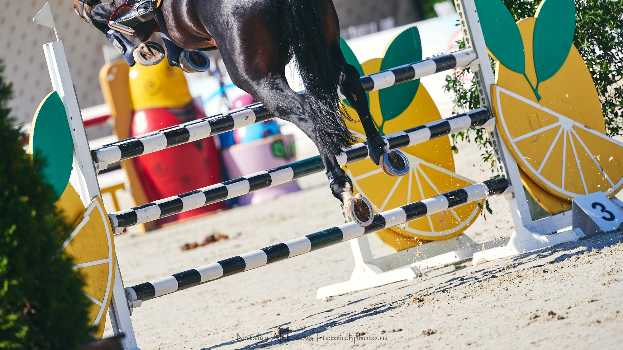 CSI2*-W/CH-B/J-B/YH1*, КСК Отрада | 06'2021. Репортажный фотограф и ретушер в Москве Наталья Алексеева