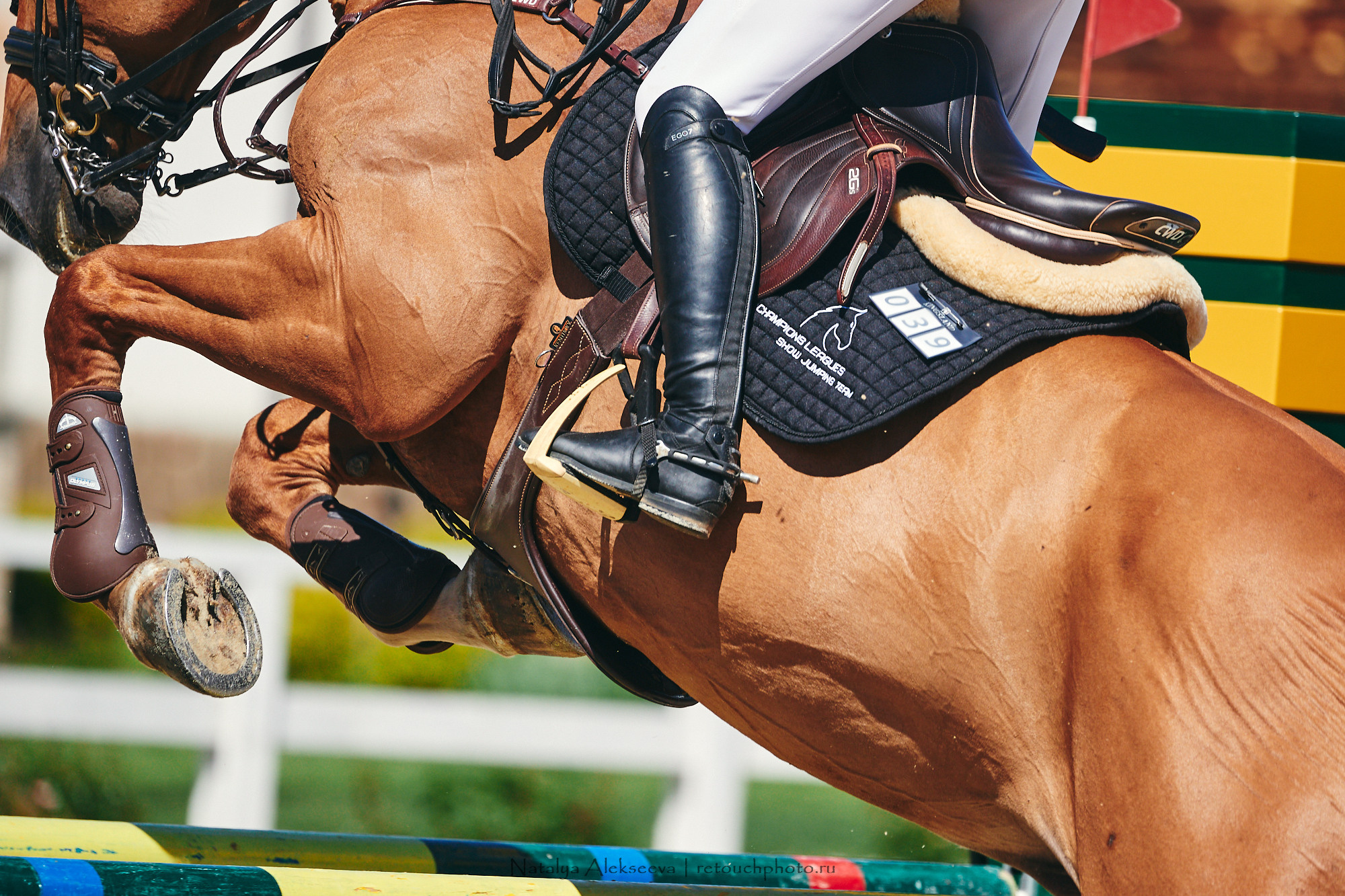 CSI2*-W/CH-B/J-B/YH1*, КСК Отрада | 06'2021. Репортажный фотограф и ретушер в Москве Наталья Алексеева