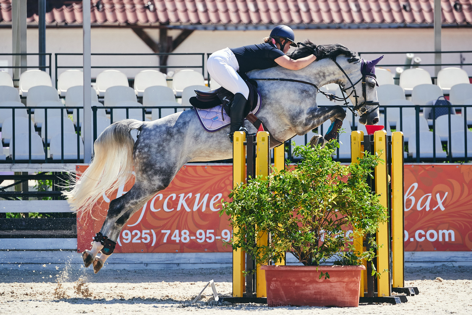 CSI2*-W/CH-B/J-B/YH1*, КСК Отрада | 06'2021. Репортажный фотограф и ретушер в Москве Наталья Алексеева