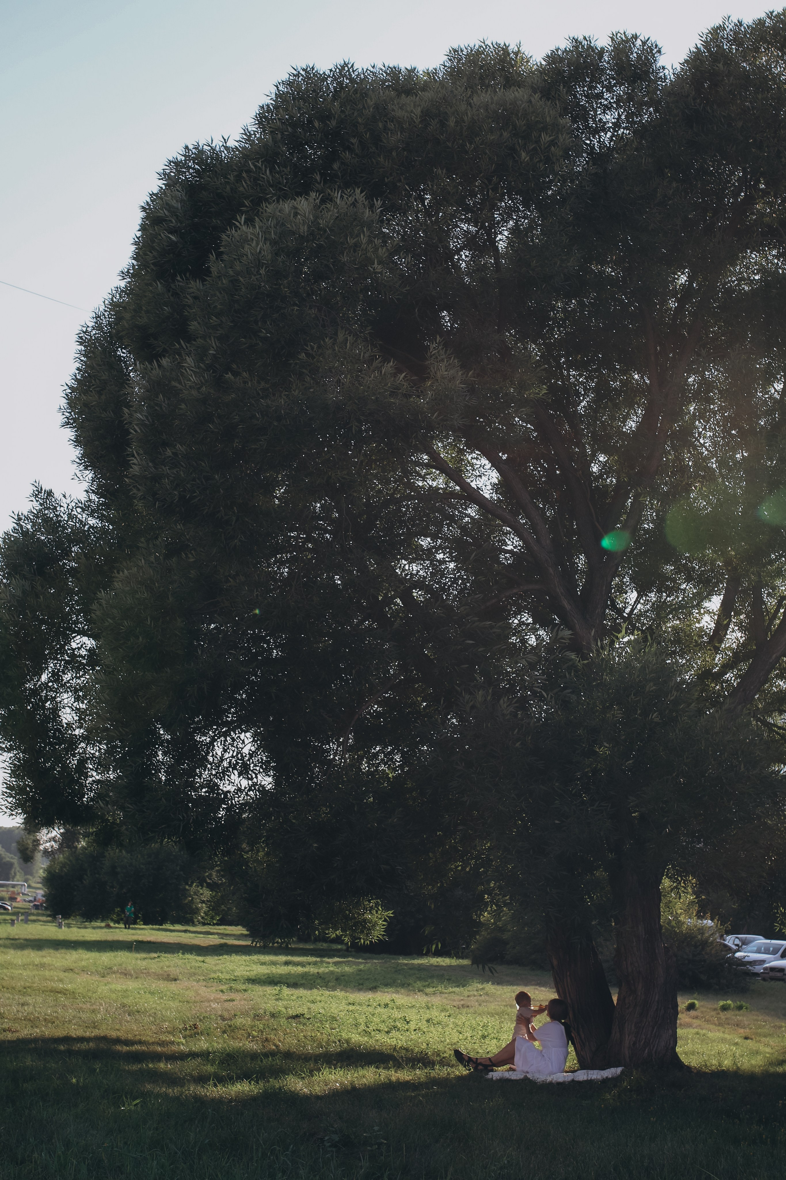 Природа. Семейный фотограф в Кемерово Мария Дорожко