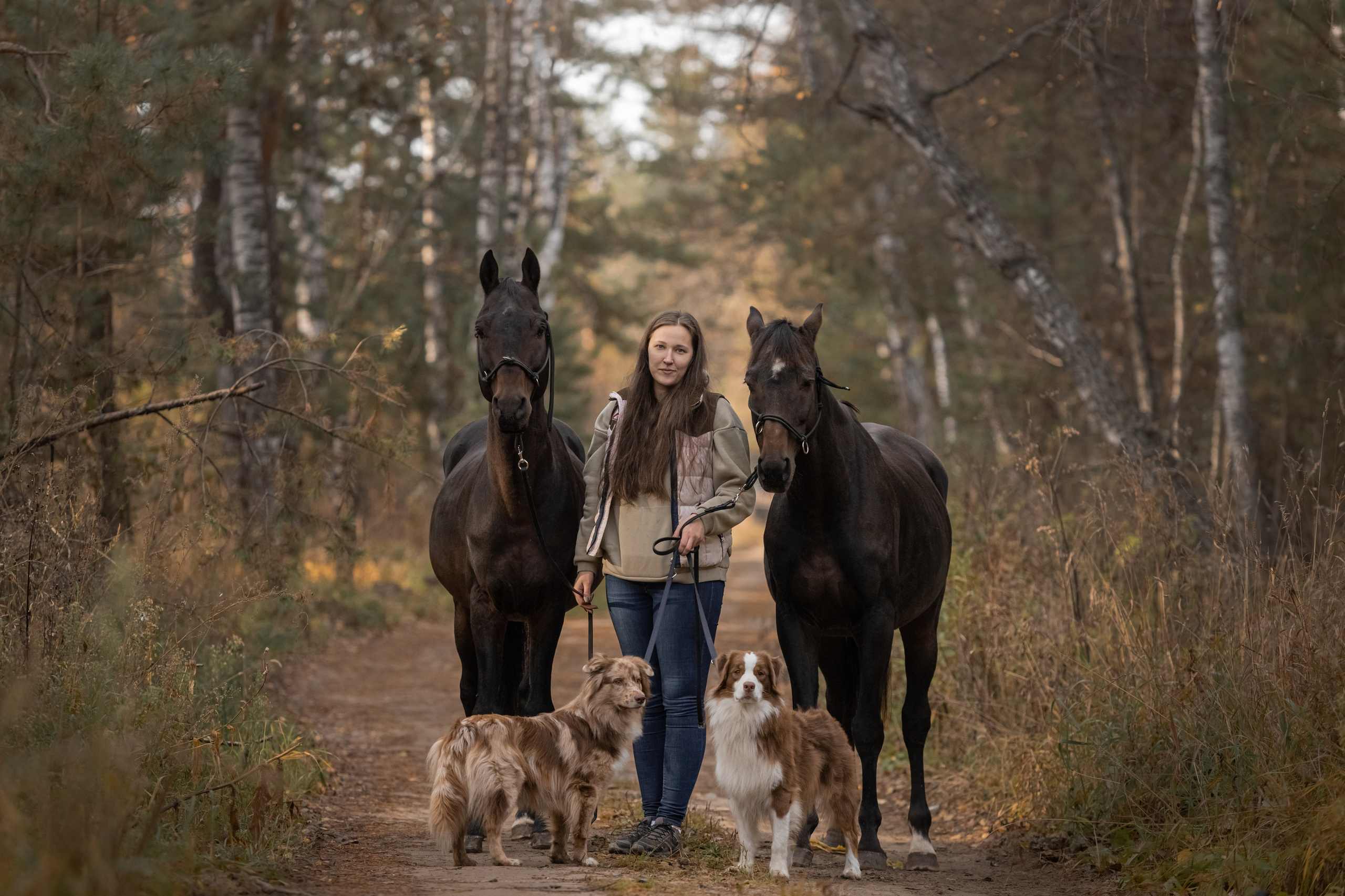 Человек и Лошадь. Главная