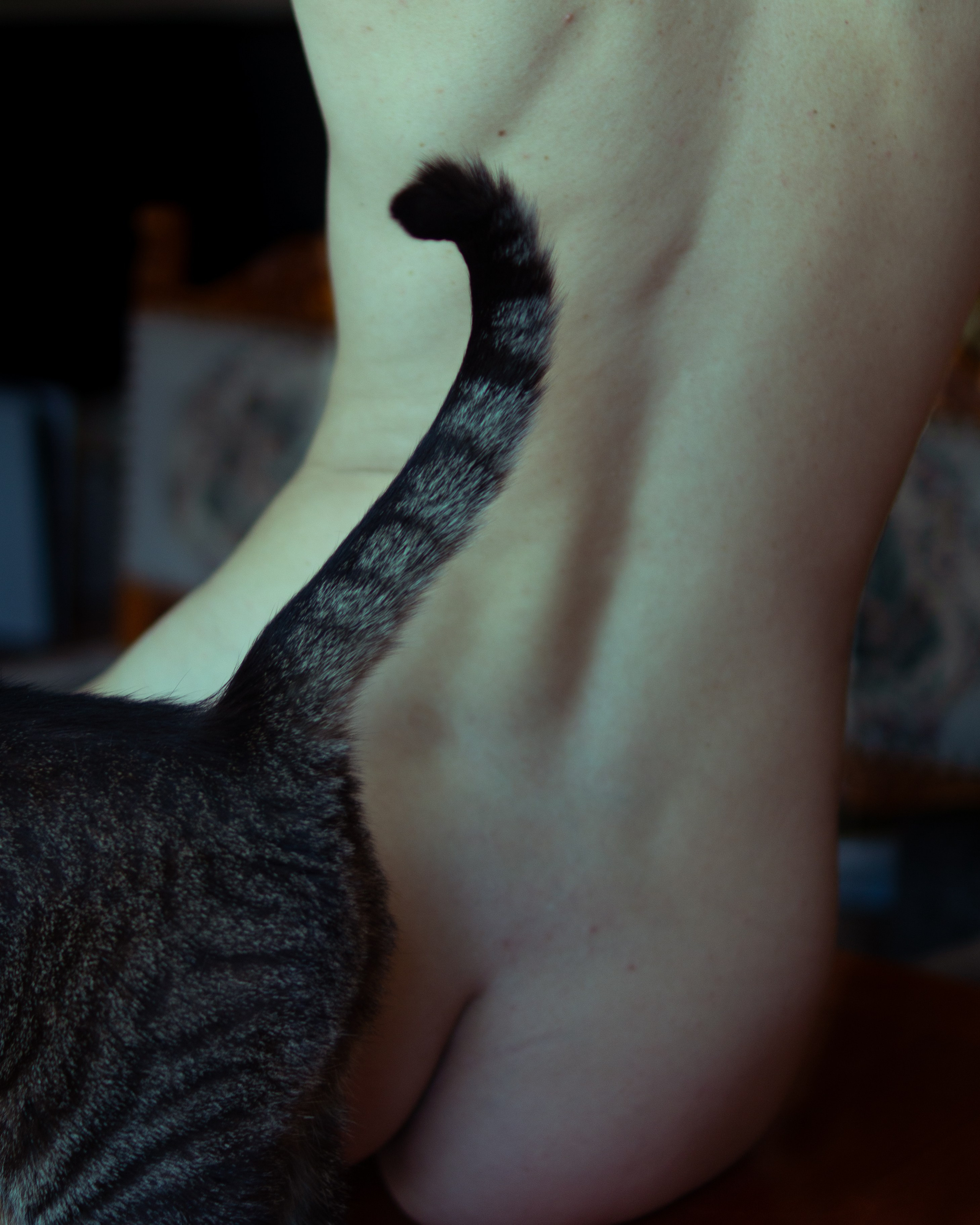 Свет и Только. Фотограф Париж / Photographer Paris