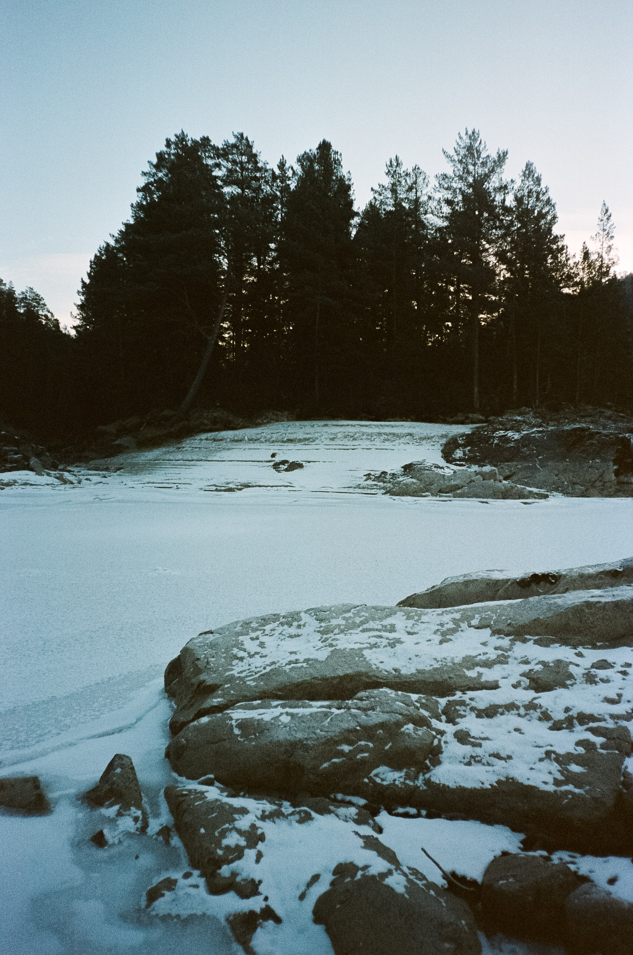 Кедровый остров в суровый мороз. Фотограф-документалист Мария Осокина