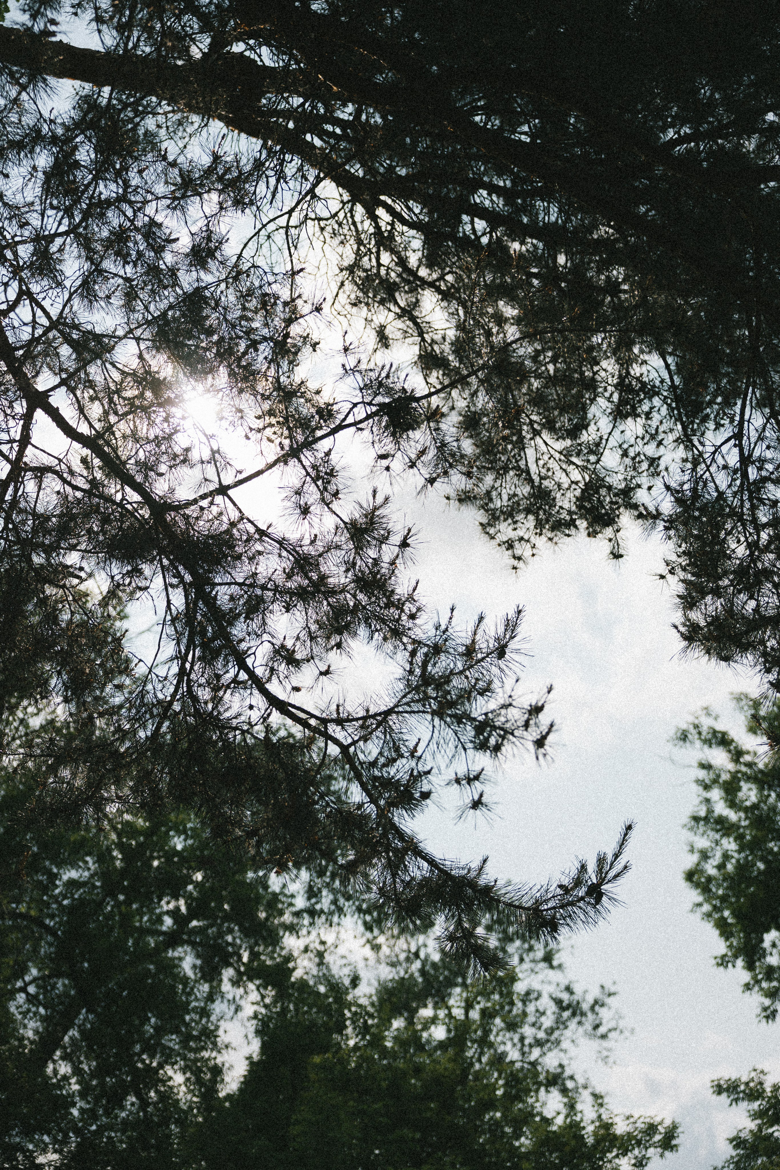 Екатерина и Егор. Свадебный фотограф в Москве — Оскар Гелманов