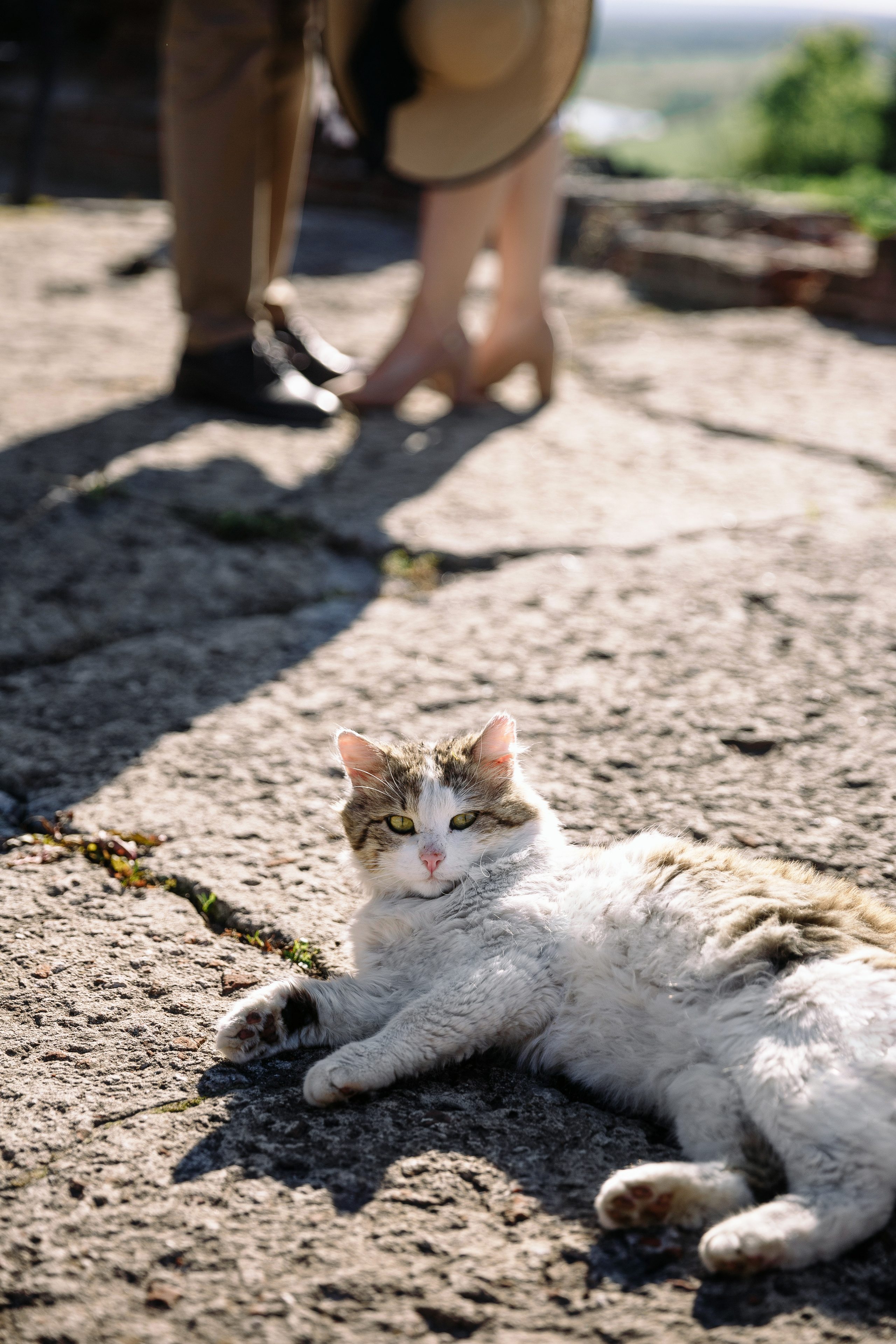 Евгений и Татьяна. Свадебный фотограф Нижний Новгород