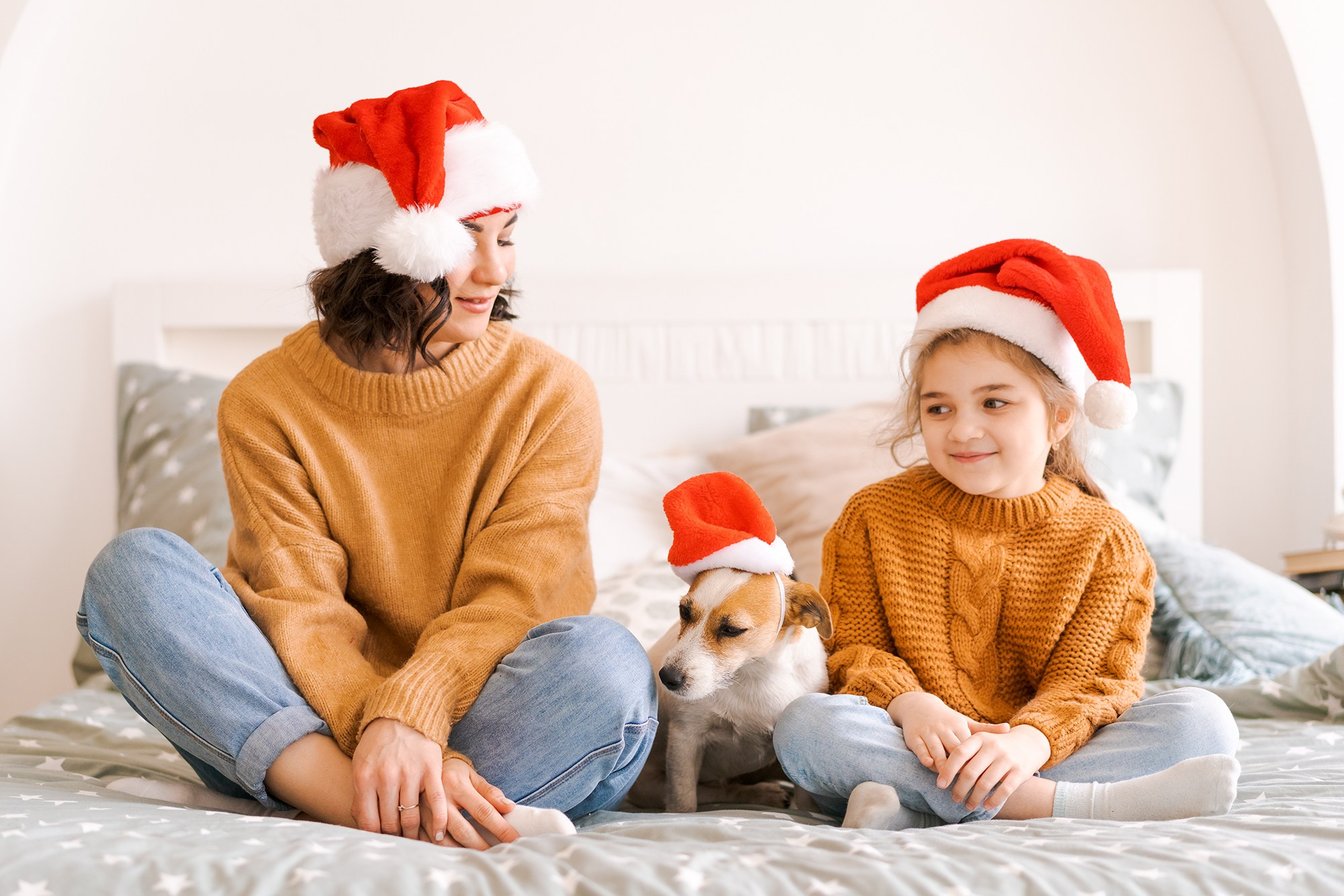 фотосессия с животными, фотосессия с домашним питомцем в Санкт-Петербурге, фото с животными,  Фотограф Санкт-Петербург, фотограф в Санкт-Петербурге, услуги фотографа, фотосессия в Санкт-Петербурге, фотосессия Санкт-Петербурге,   портфолио, индивидуальная фотосессия в Санкт-Петербурге, портретная съемка, портретный фотограф, портретный фотограф в Санкт-Петербурге, 