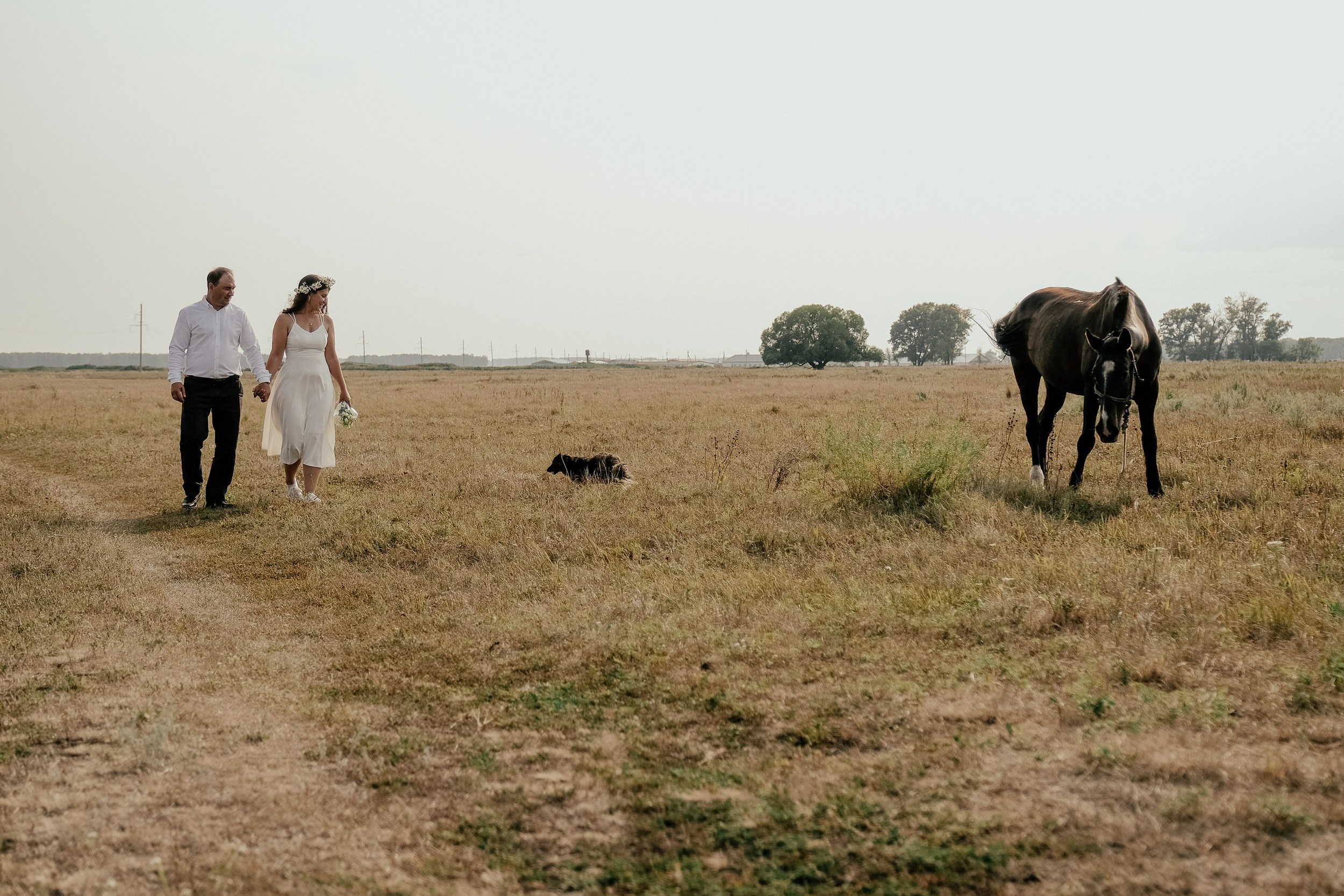 Свадьба на аэродроме