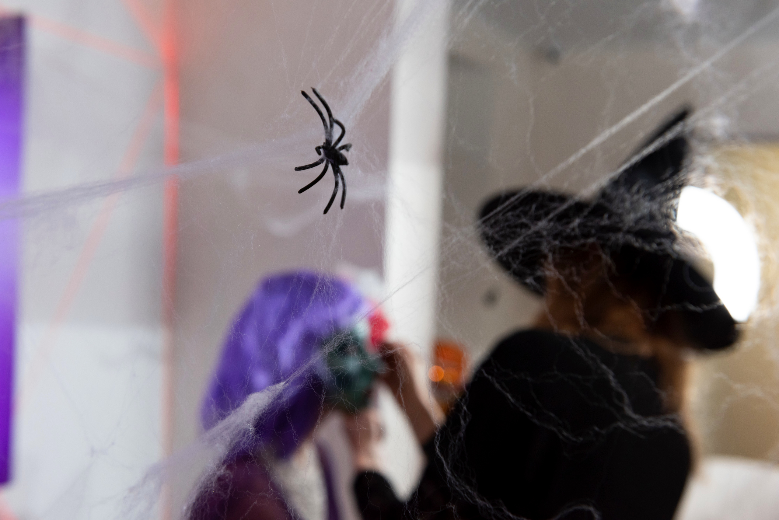 Фоторепортаж на мероприятиях и корпоративе. Мария Прищеп. Профессиональный фотограф в Краснодаре