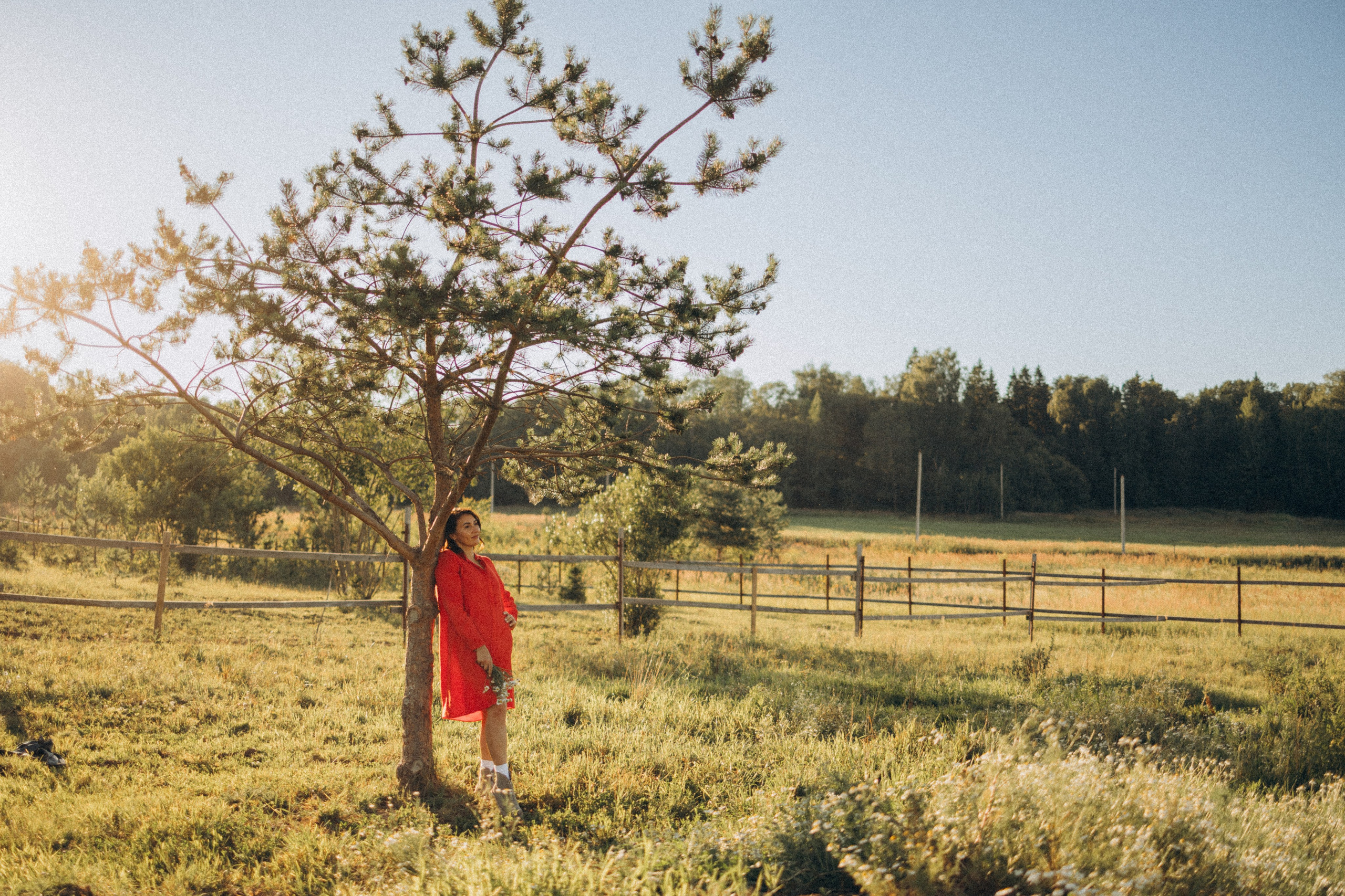 А в деревни лошади. Фотограф Москва Светлана Кирюшина
