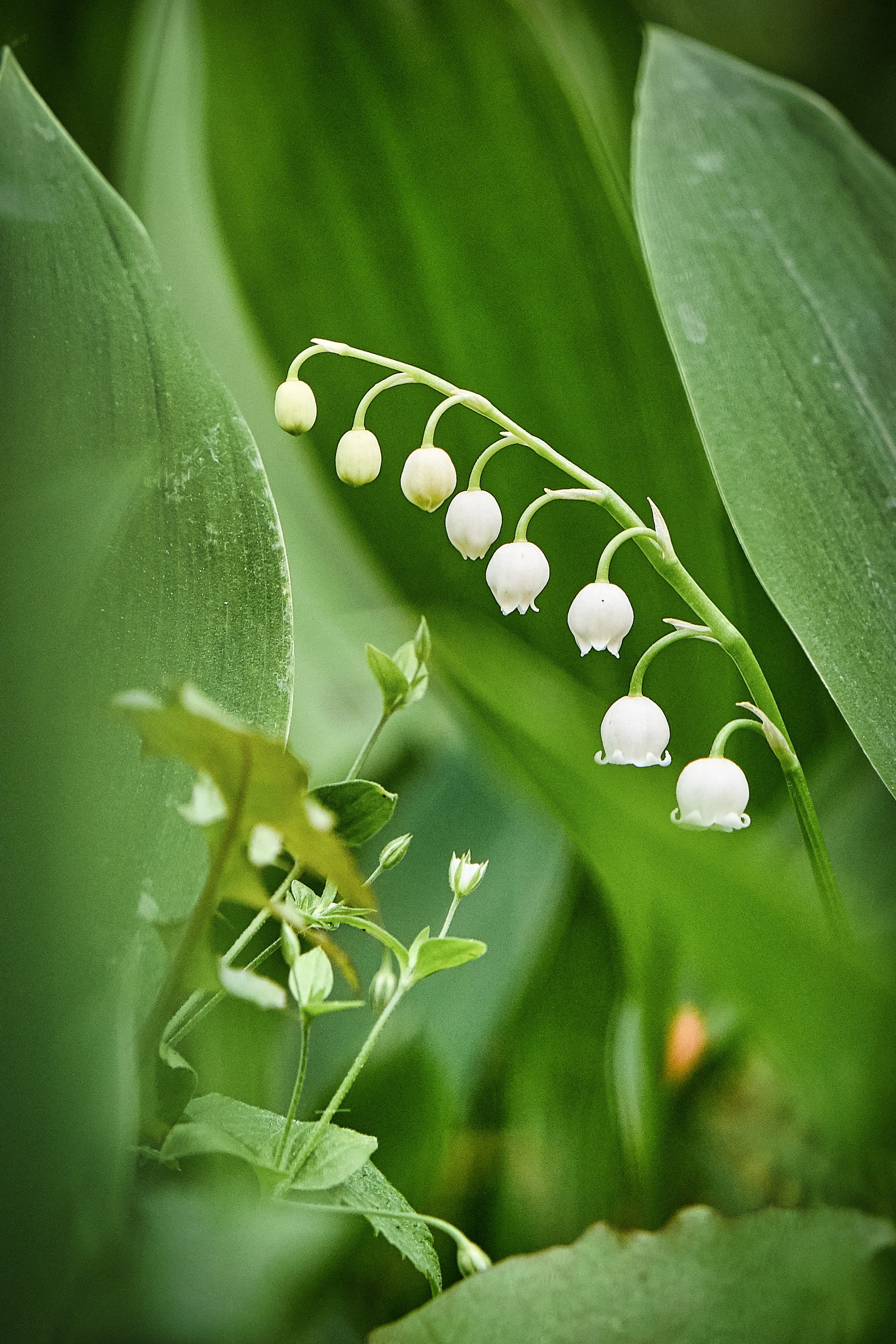 Наша мать — природа. Фотограф Владимир Артамонов