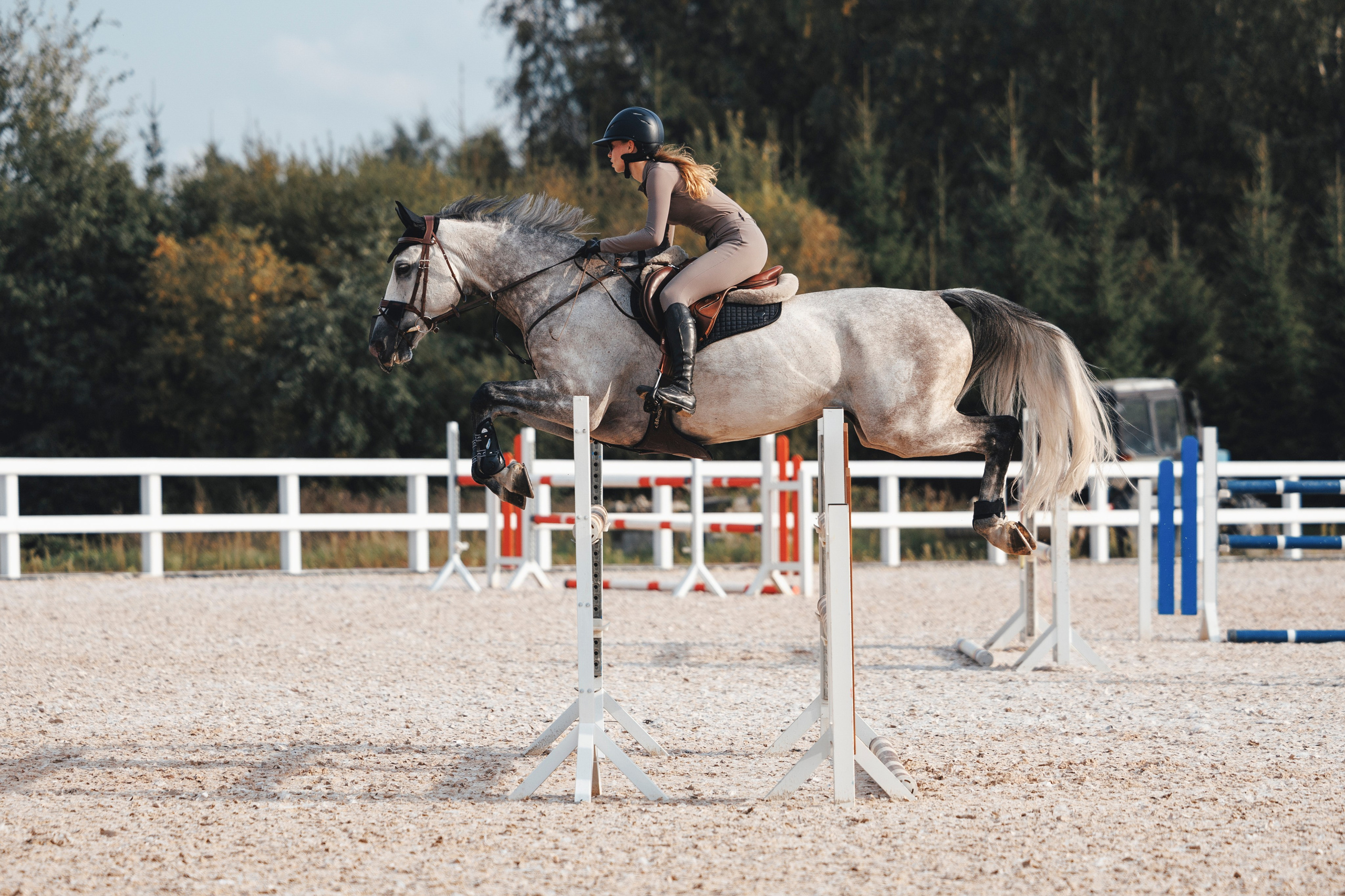 Конкур. Фотограф-анималист Анна Маринич