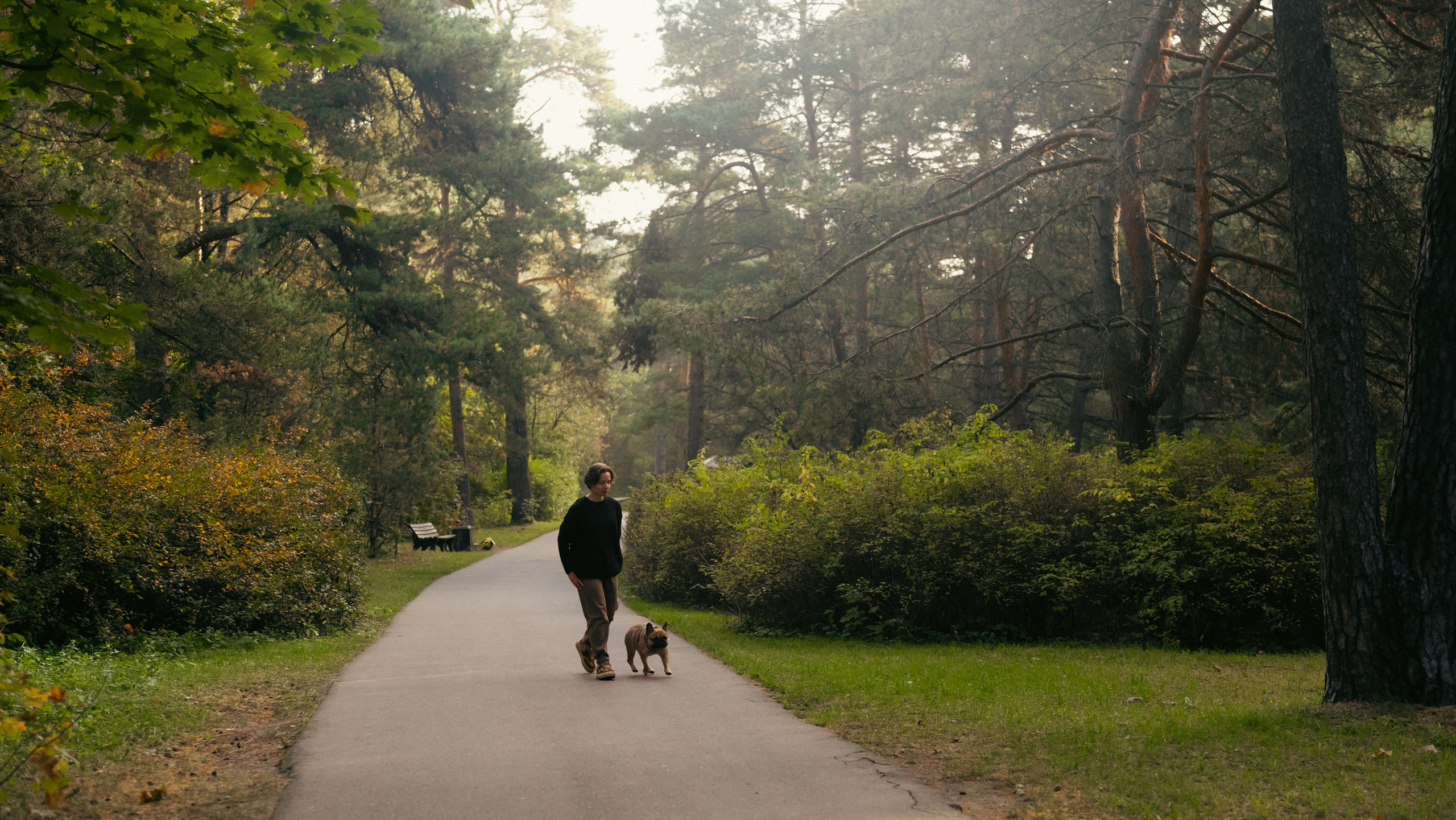 Анастасия и Бенц. Фотограф анималист в Москве и Санкт-Петербурге Свиридова Анна