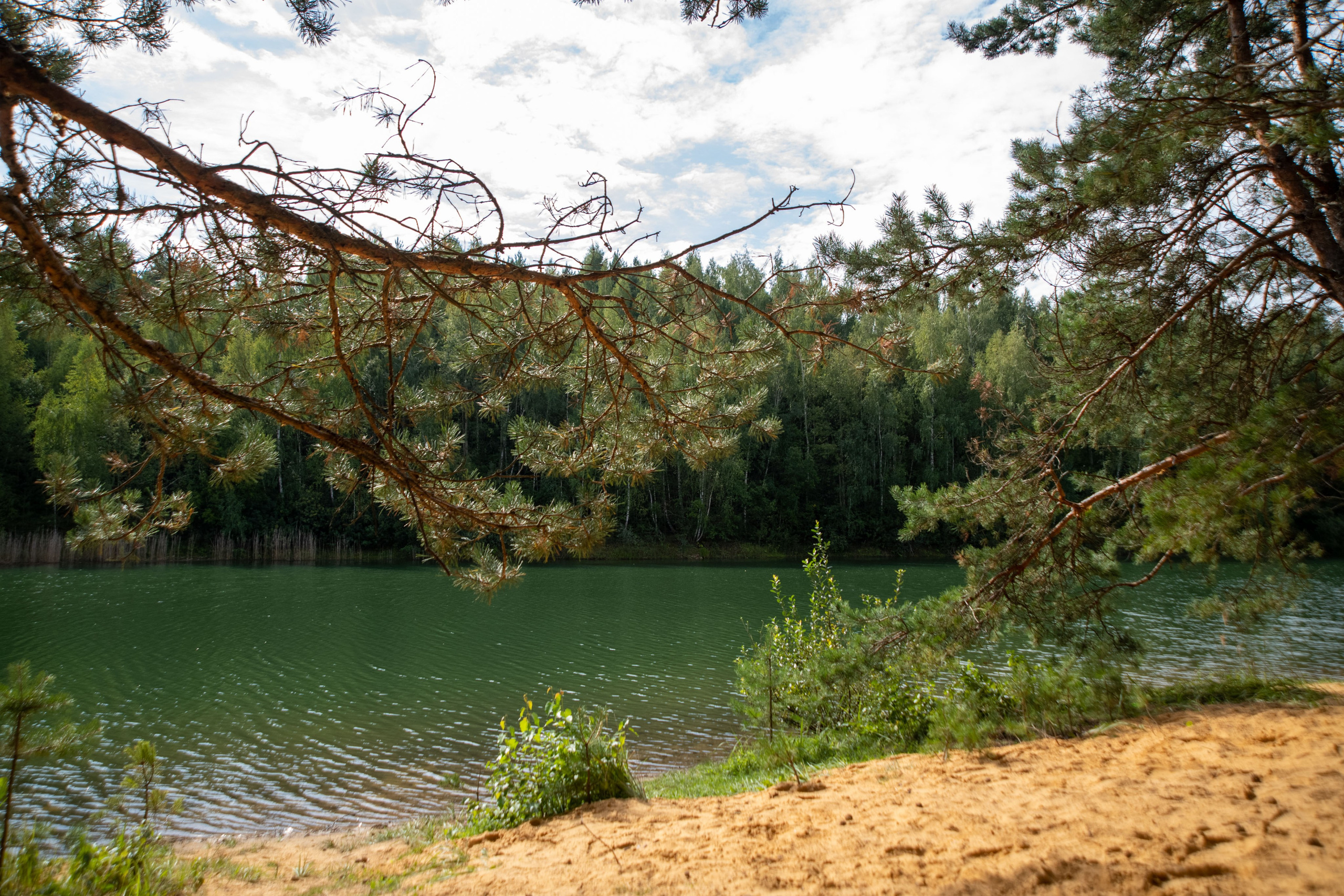 Нутриевая ферма. Большакова Полина — фотограф в Туле