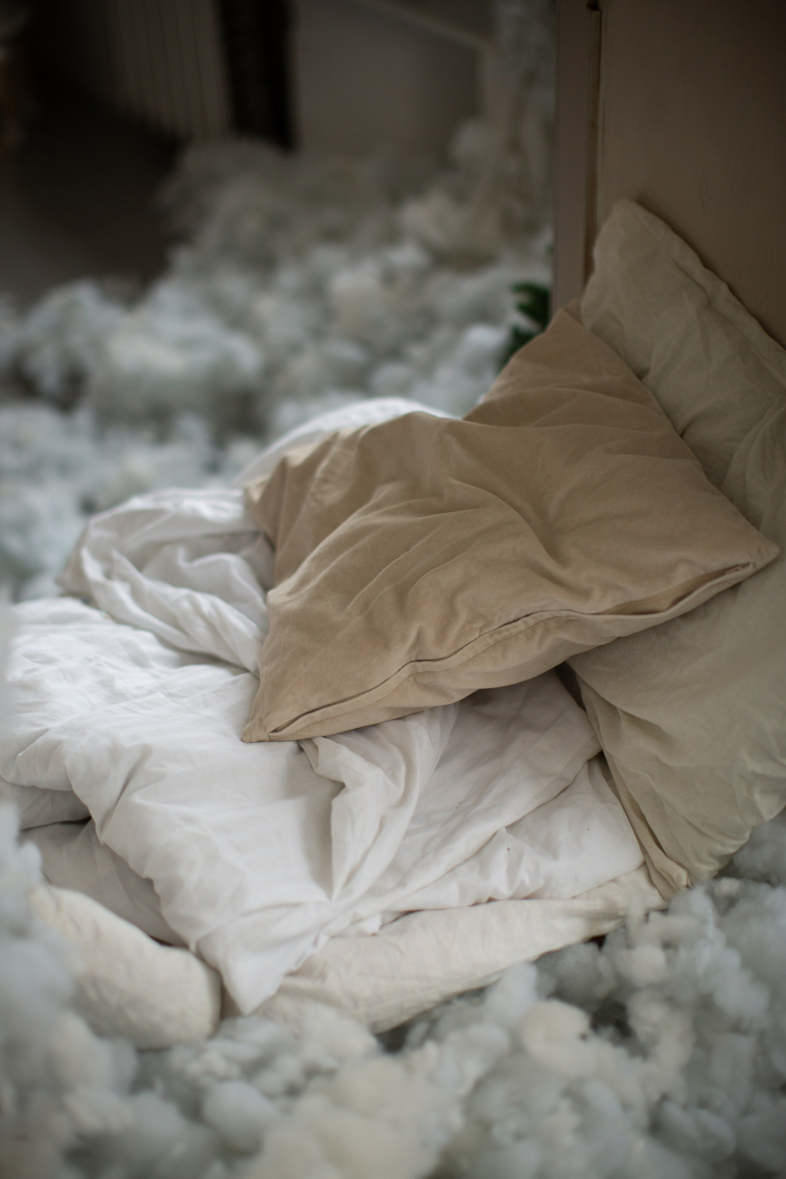 Нг24. Фотограф НатаФото (Наталья Яковенко) Дмитров Москва Питер