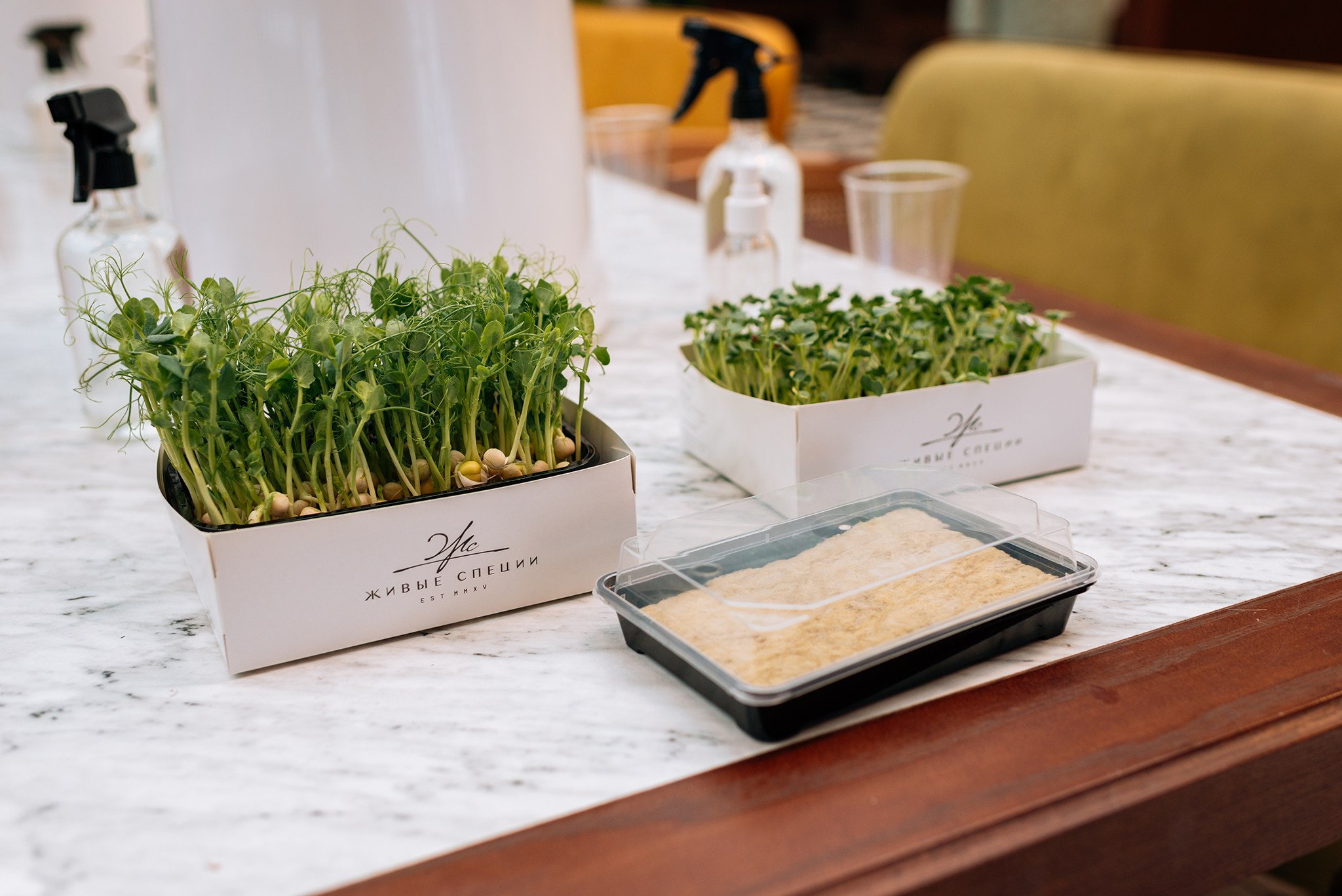 Фестиваль Профессий на VOKZAL 1853. Апрель 26. Репортажный фотограф в Санкт-Петербурге Анастасия Клёпова