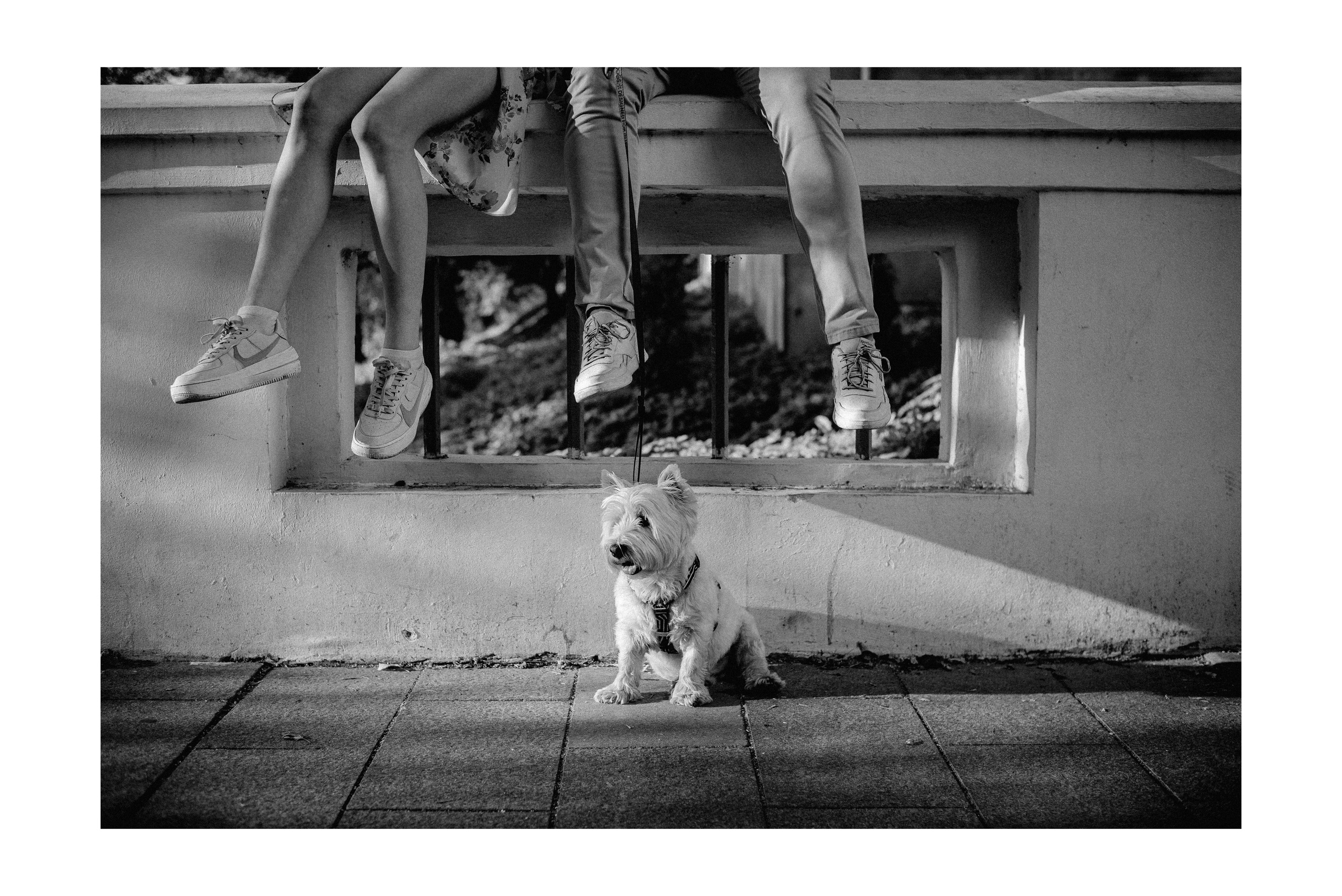 Семен, Валя и Цукат, Нижний Новгород. Семейный и детский фотограф Иваново Ксения Азаренкова