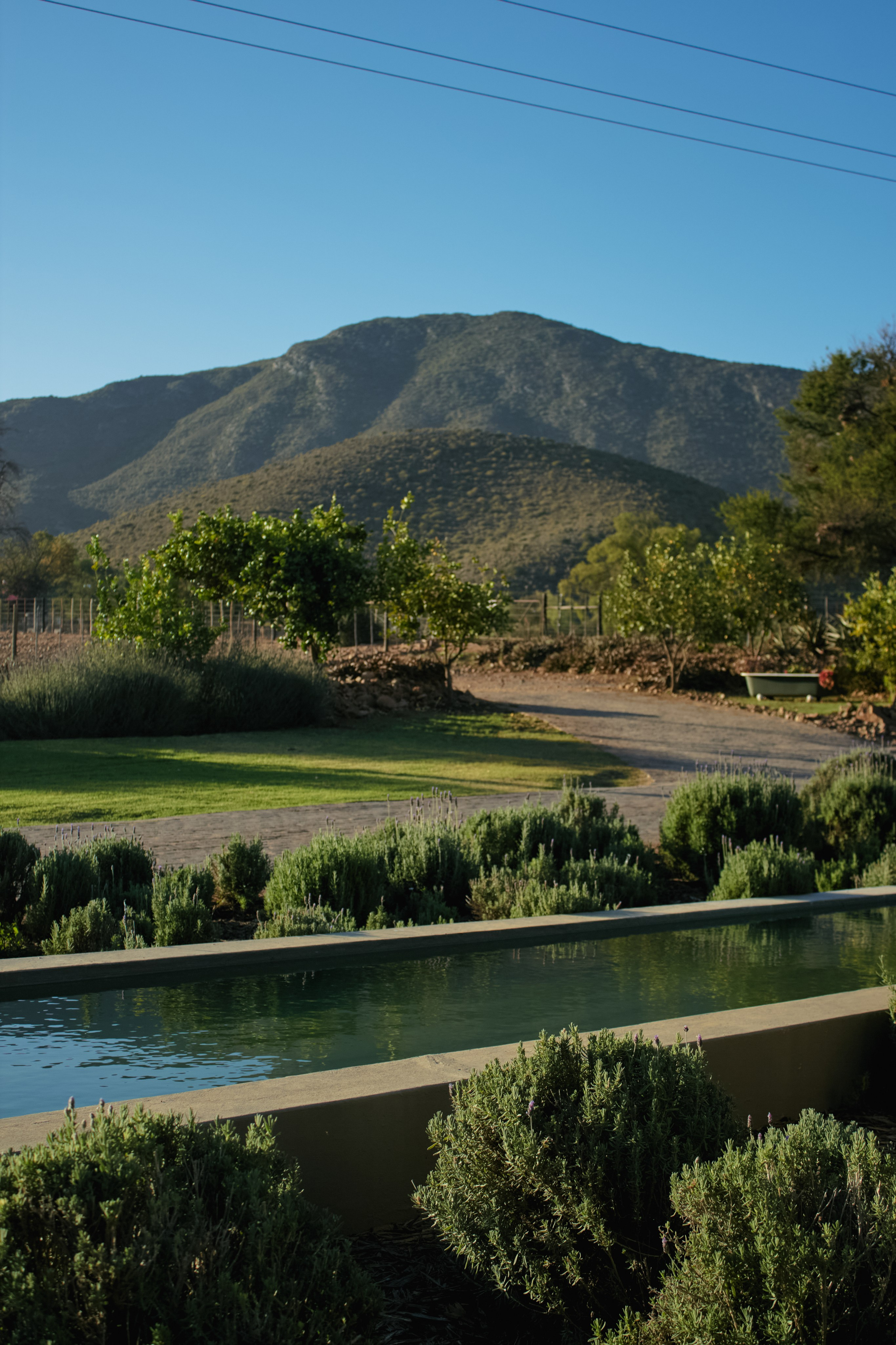 ЮАР. Профессиональный Фотограф во Владимире, в Москве и в Суздале — Полина Романычева