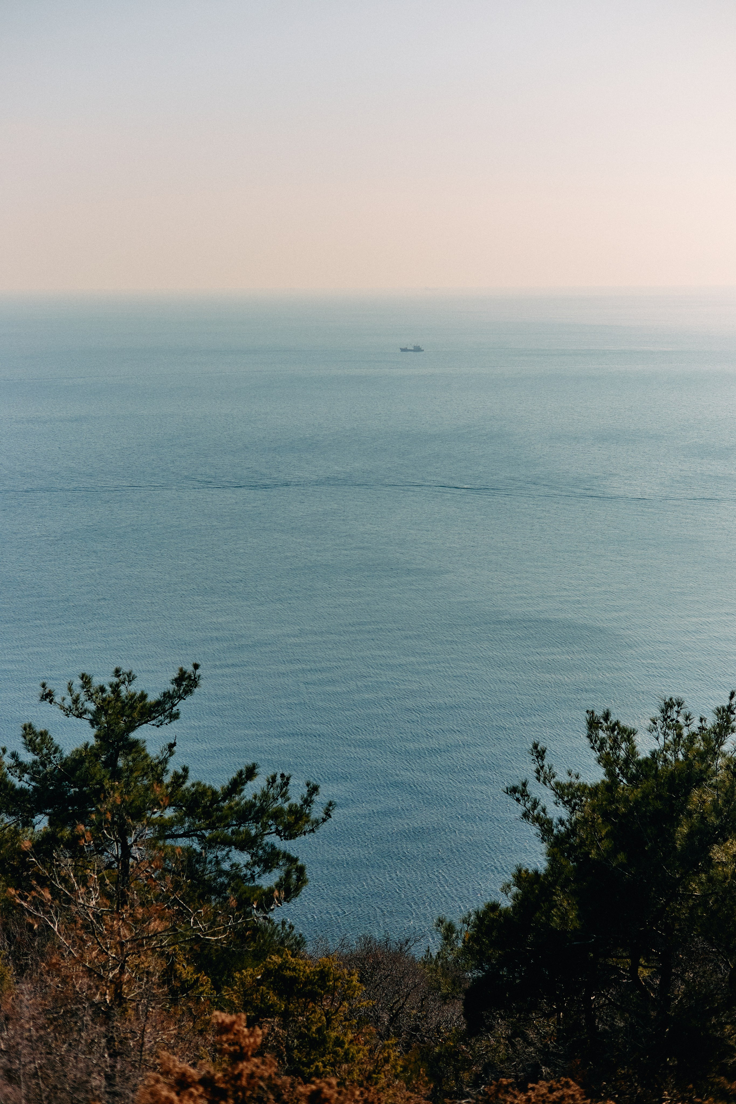 Юг России. Профессиональный Фотограф во Владимире, в Москве и в Суздале — Полина Романычева