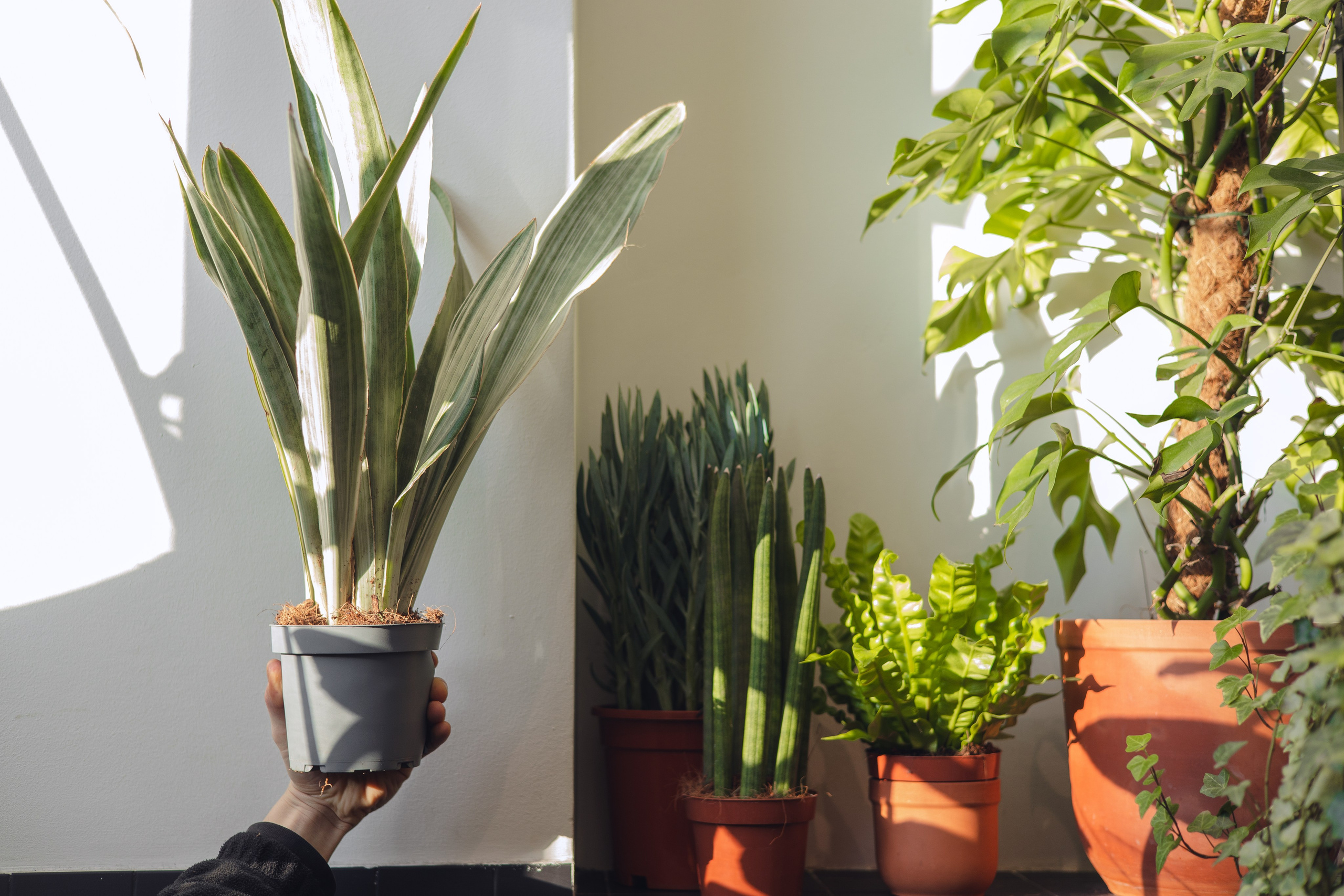 Предметная съемка для бизнеса. Фотограф в Санкт-Петербурге Осокина Елизавета