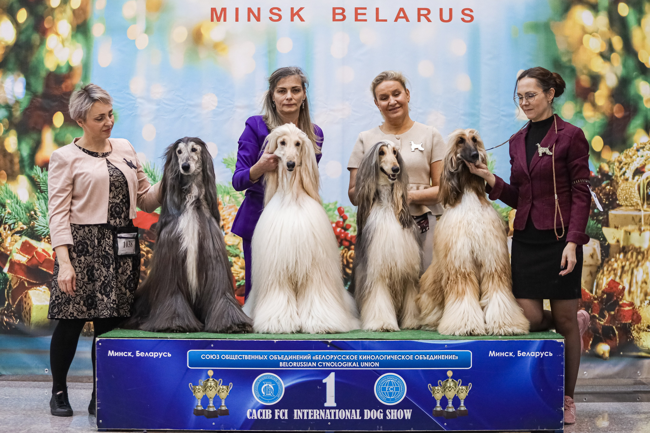 Международная выставка собак СACIB FCI 29-30.11.2025. Галерея фотографий афганской борзой