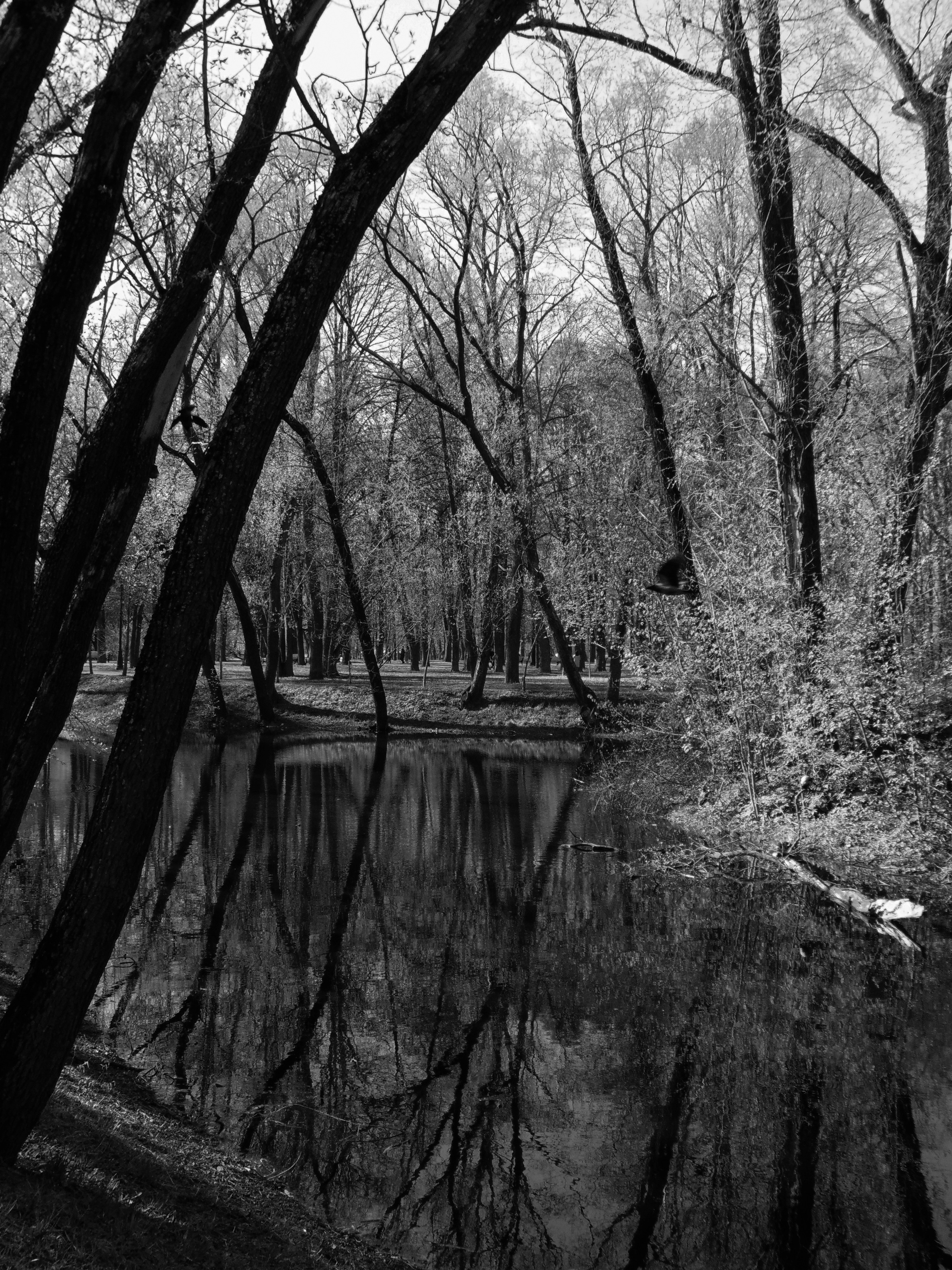 Пейзажи. Фотограф из Санкт-Петербурга — Виктория Горелкова