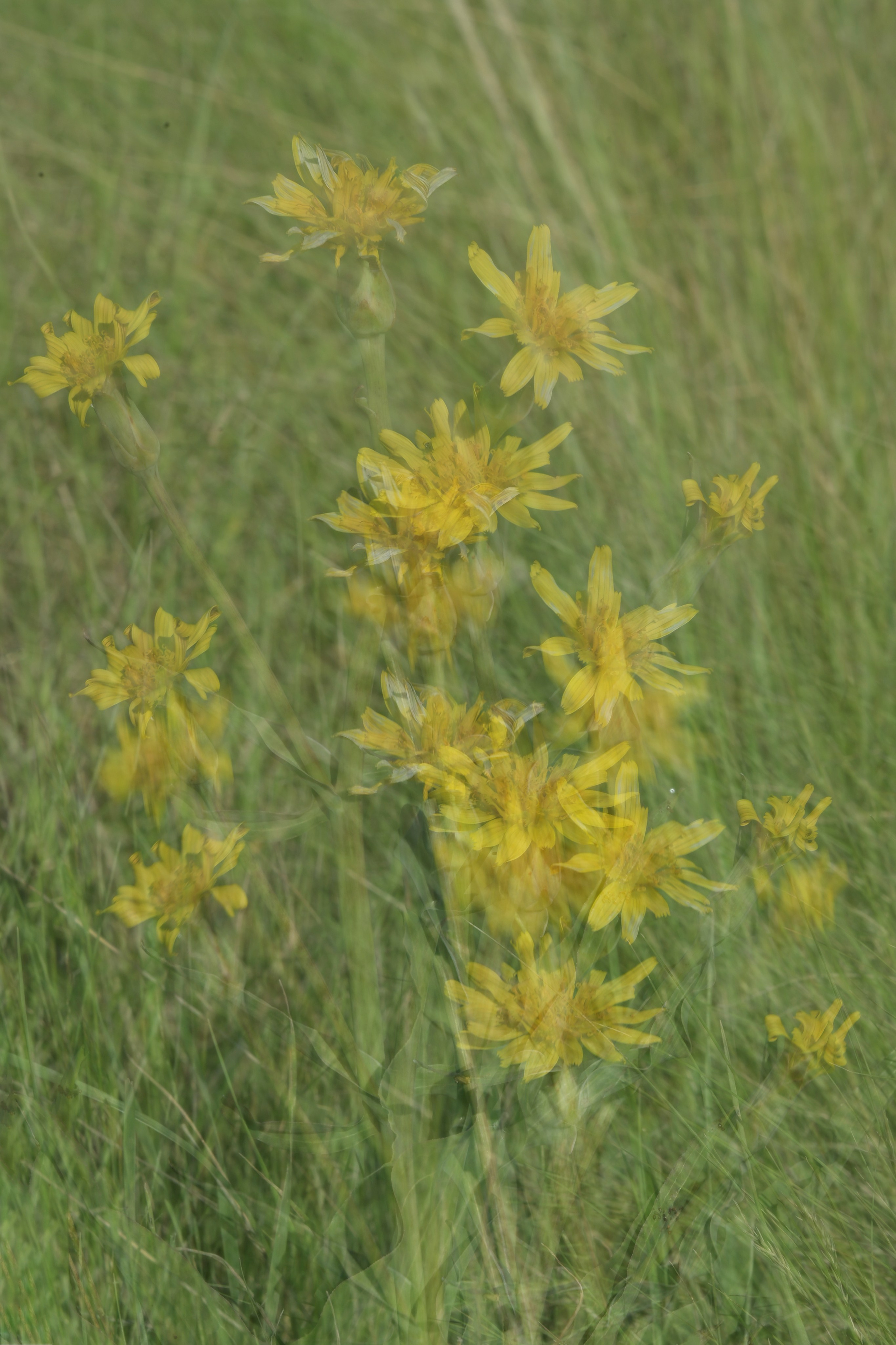 Оренбуржье. Портретный фотограф в Челябинске Катерина Руди
