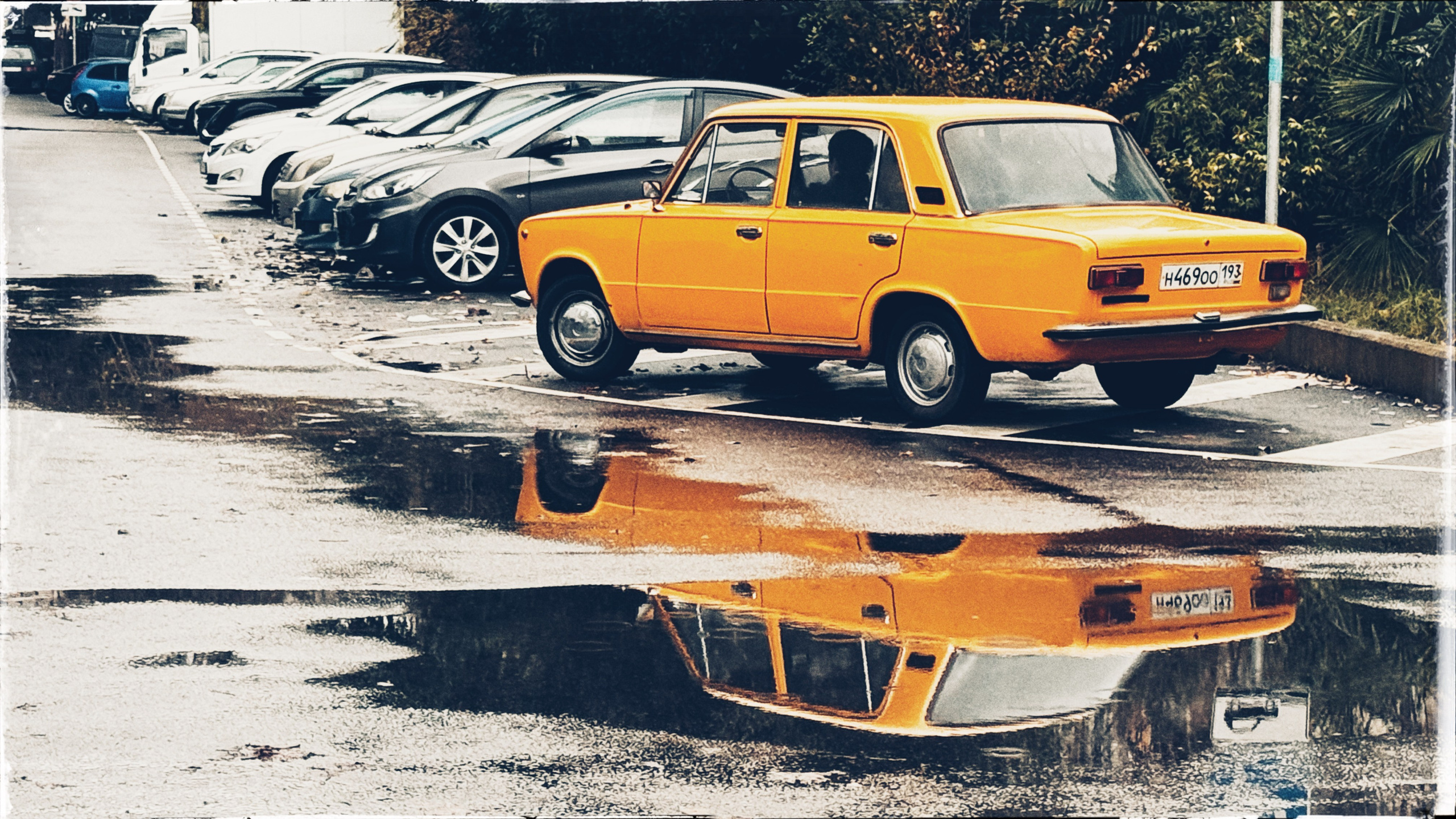 Мир вокруг. Фотограф • Елена Миронова